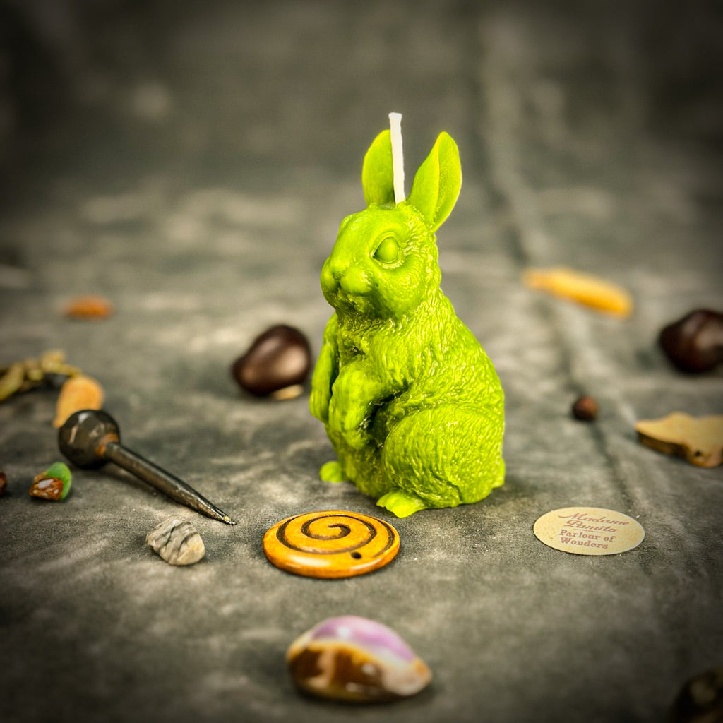 Enchanted Bunny Candle Spell Kit - Abundance & Quick Thinking Magic | Candle Spell Kit | Wiccan Center