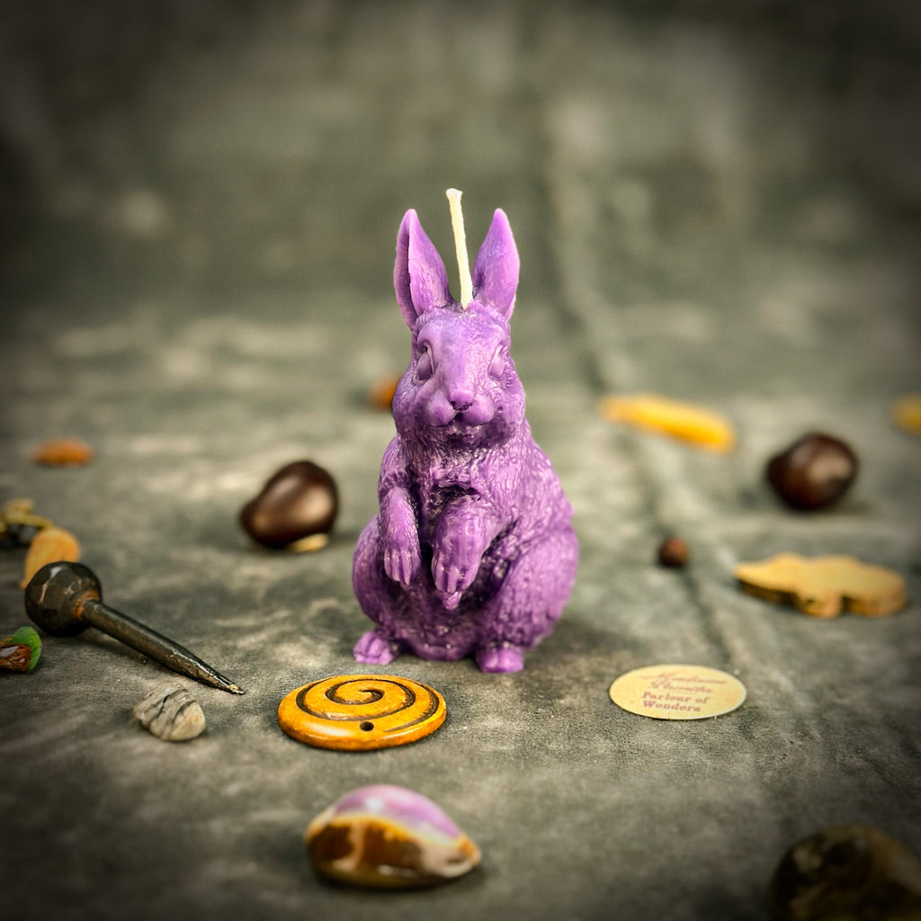 Enchanted Bunny Candle Spell Kit - Abundance & Quick Thinking Magic | Candle Spell Kit | Wiccan Center