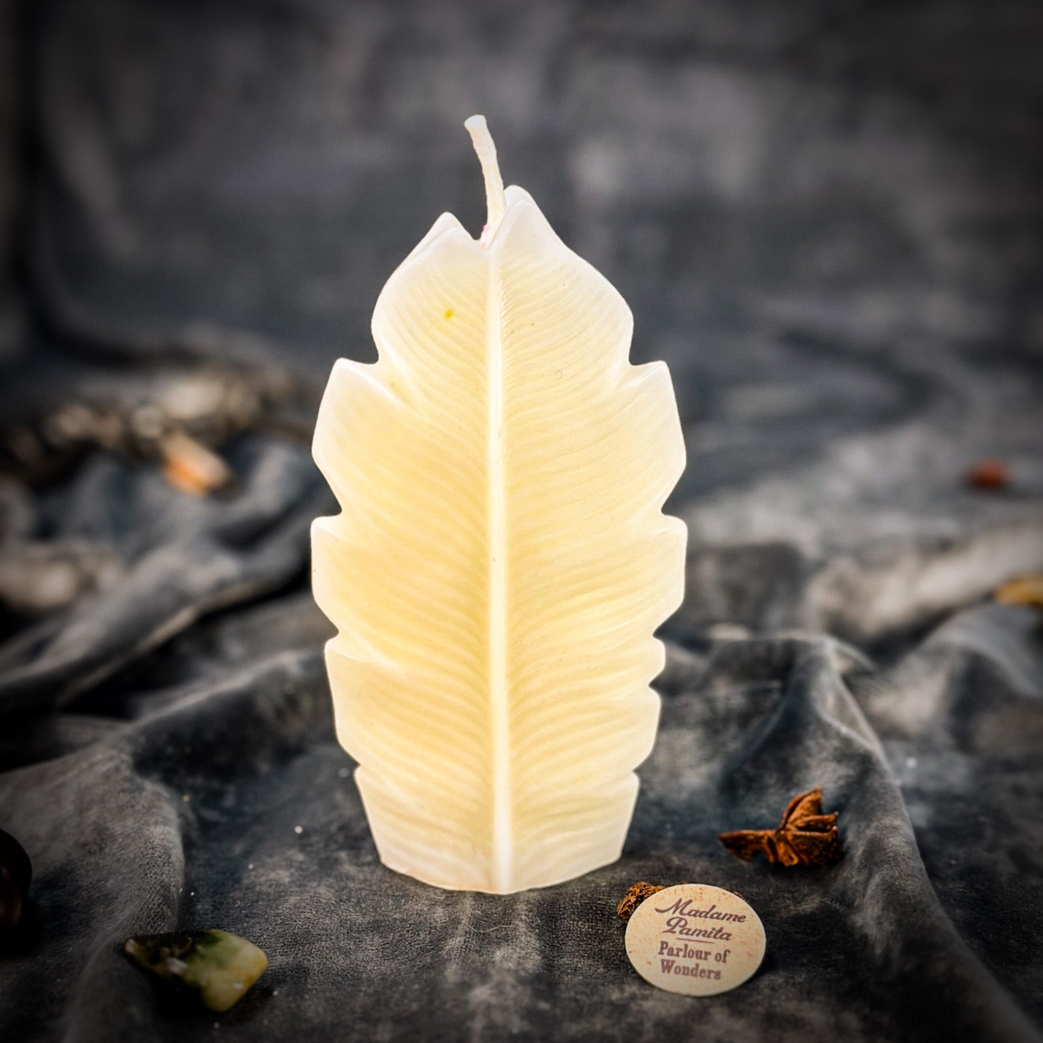 Plant Spirit Candle Spell Kit - Garden Blessing & Nature Magic | Candle Spell Kit | Wiccan Center