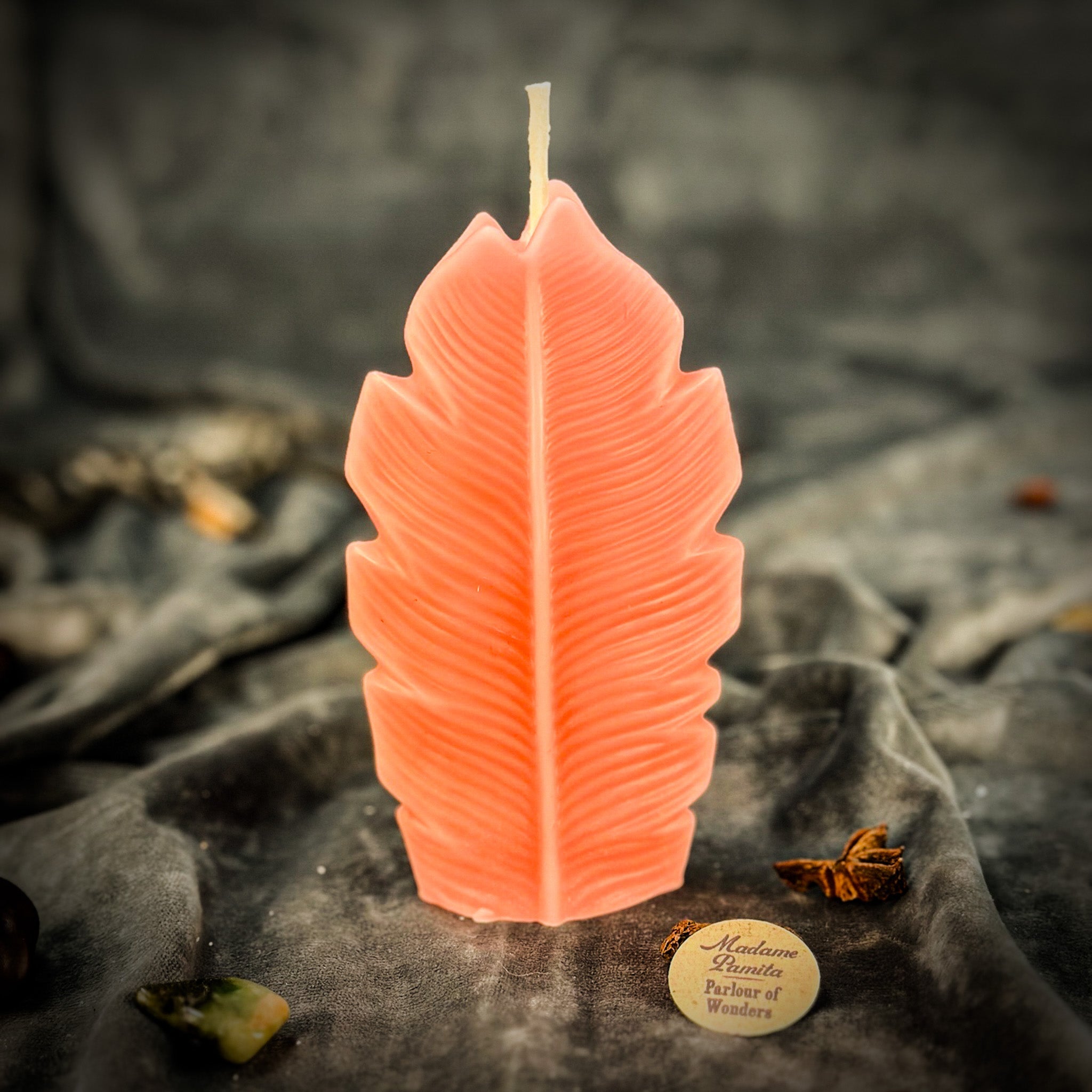 Plant Spirit Candle Spell Kit - Garden Blessing & Nature Magic | Candle Spell Kit | Wiccan Center