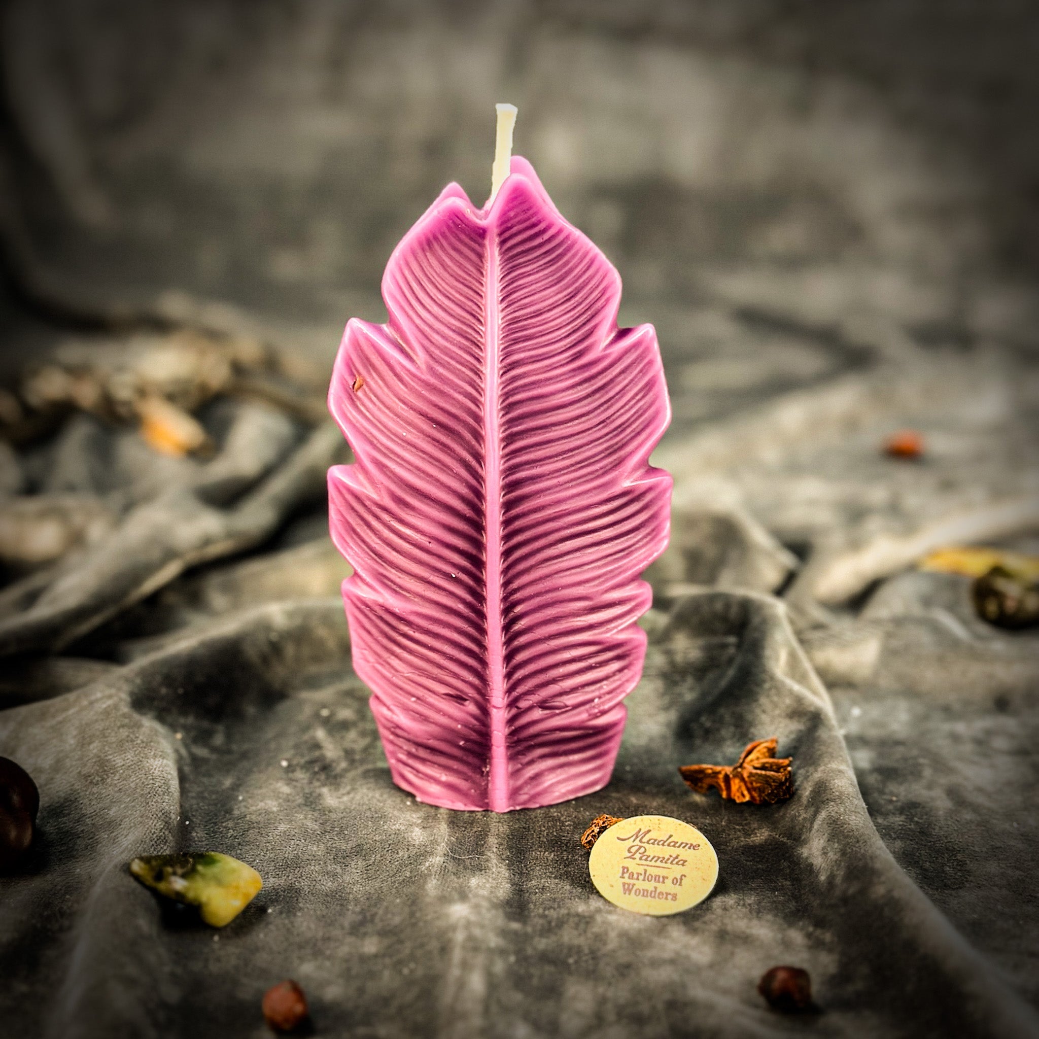 Plant Spirit Candle Spell Kit - Garden Blessing & Nature Magic | Candle Spell Kit | Wiccan Center