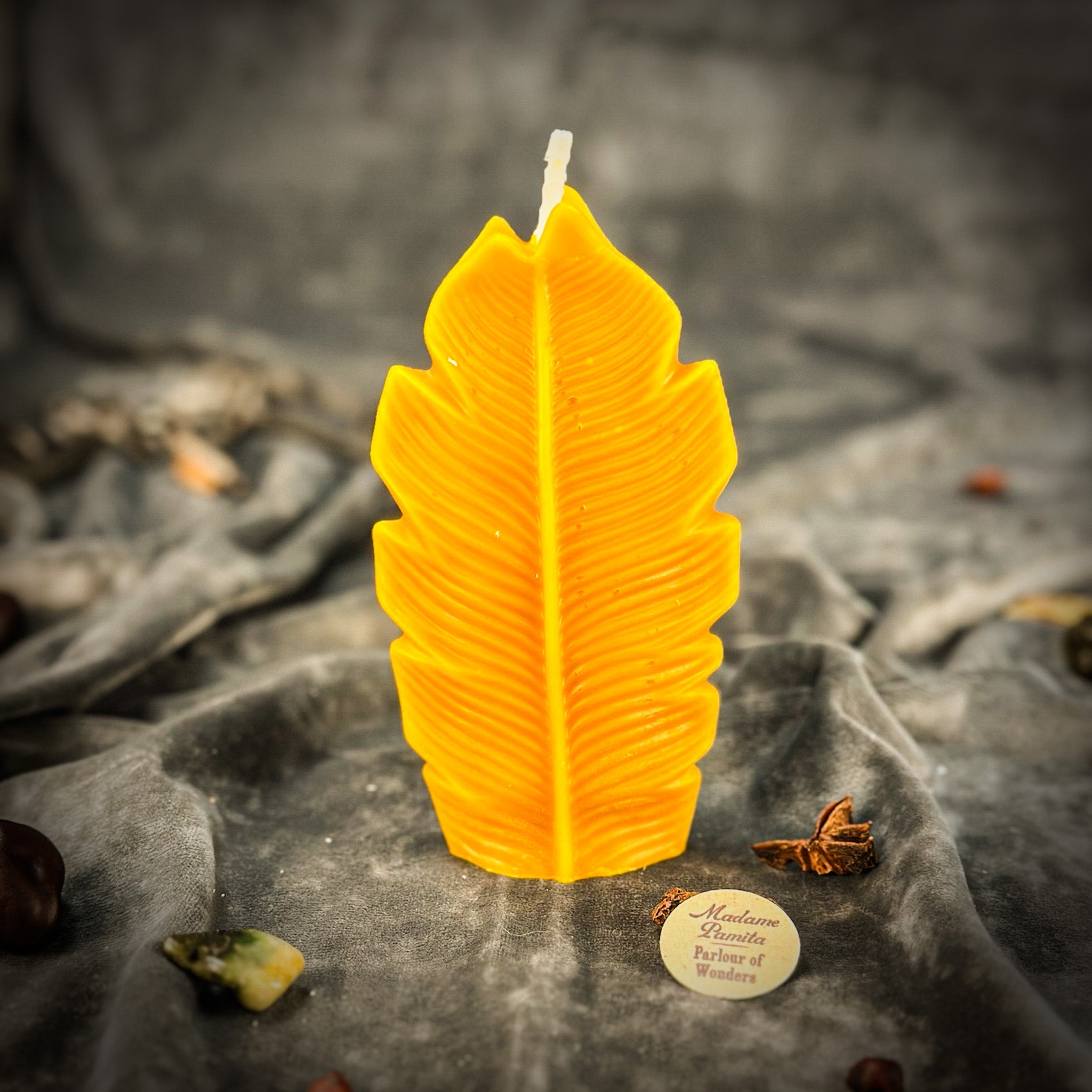 Plant Spirit Candle Spell Kit - Garden Blessing & Nature Magic | Candle Spell Kit | Wiccan Center