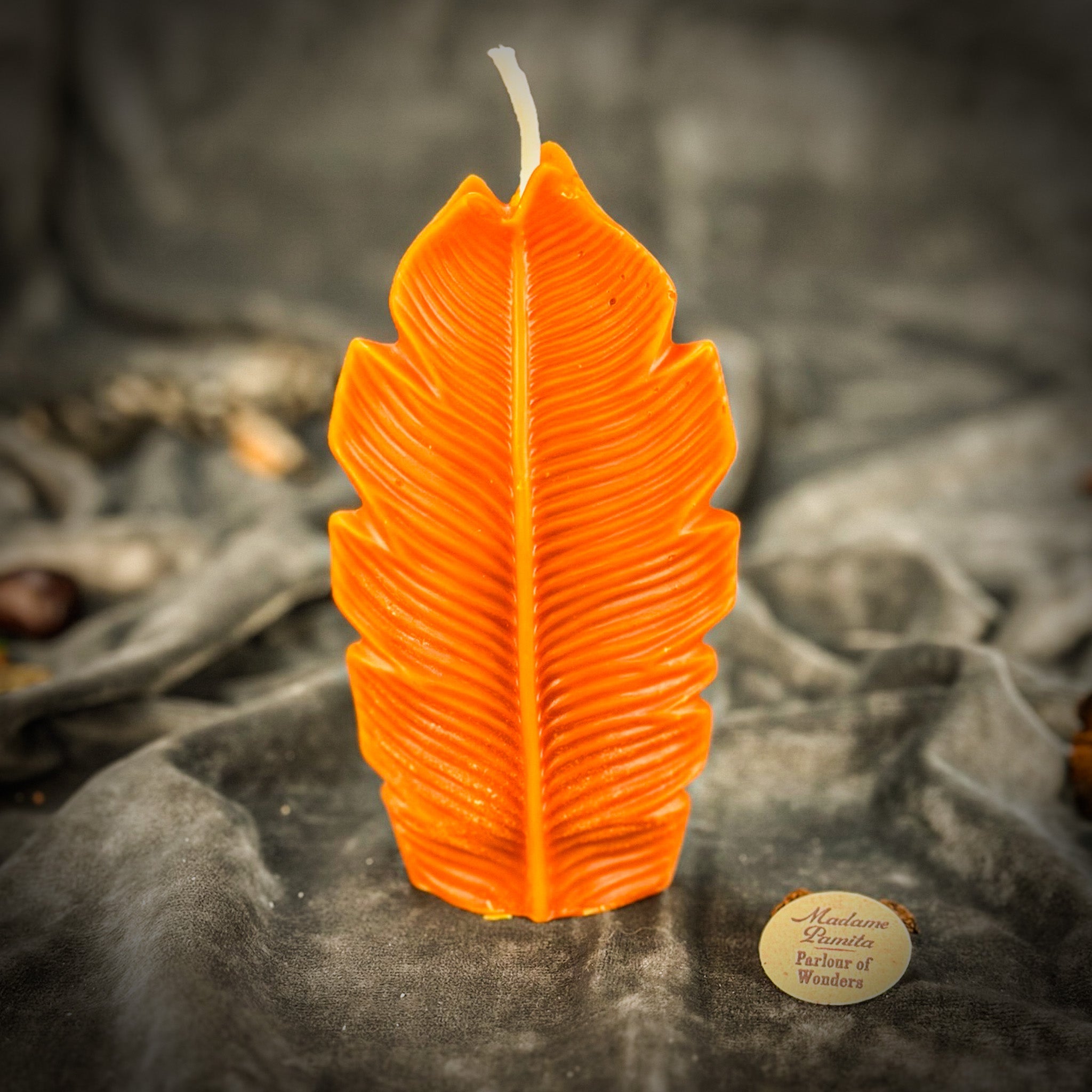 Plant Spirit Candle Spell Kit - Garden Blessing & Nature Magic | Candle Spell Kit | Wiccan Center
