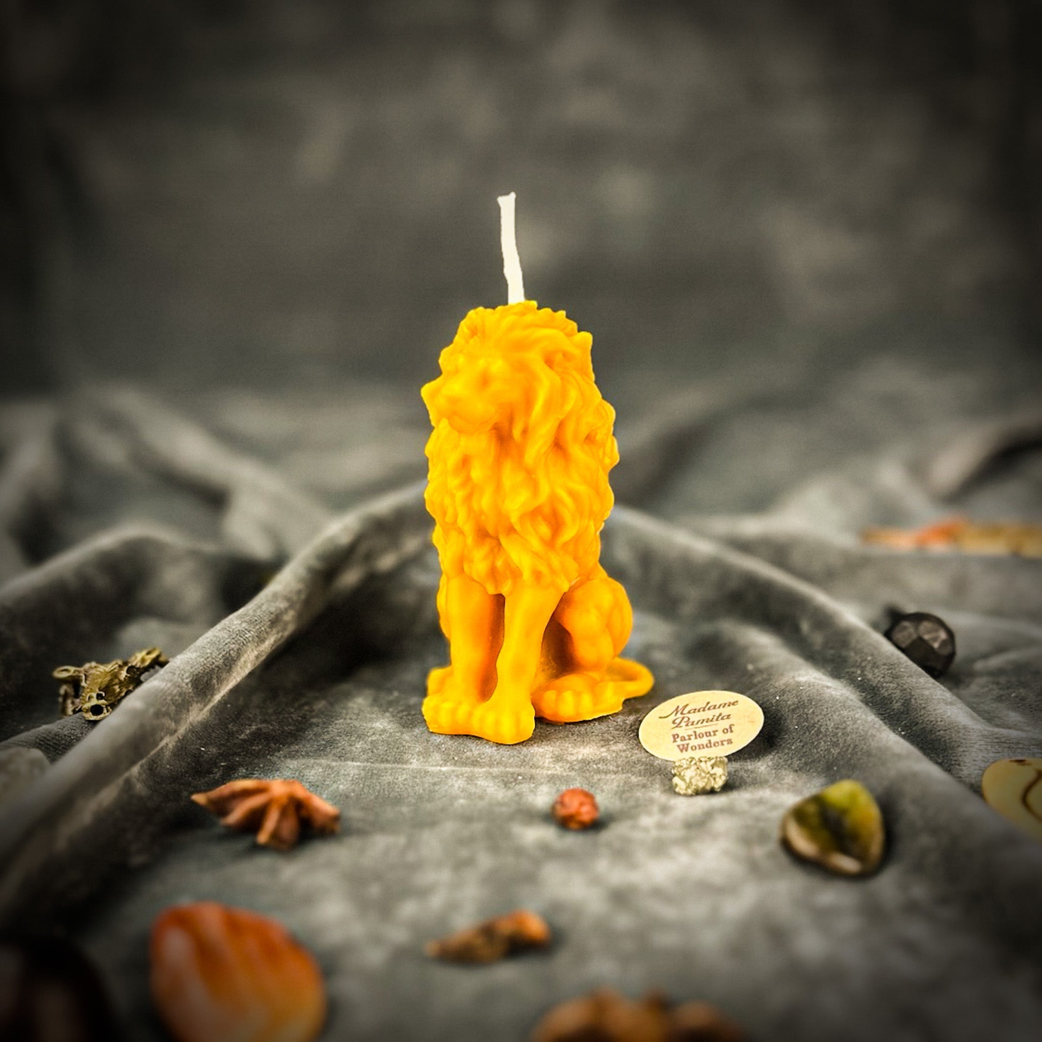 Proud Lion Candle Spell Kit - Courage & Leadership Magic | Candle Spell Kit | Wiccan Center