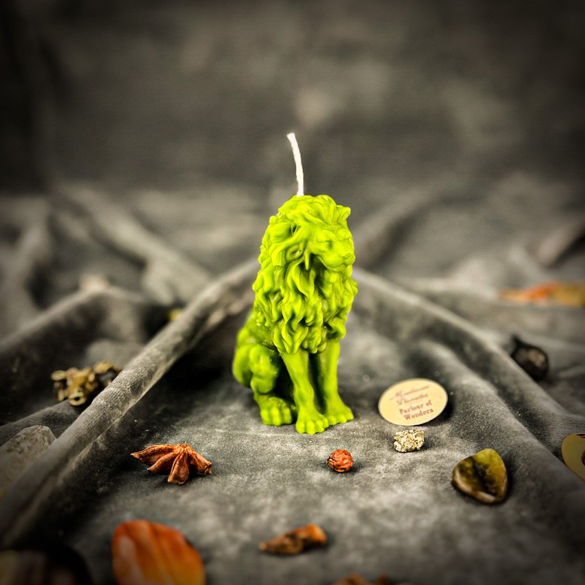 Proud Lion Candle Spell Kit - Courage & Leadership Magic | Candle Spell Kit | Wiccan Center
