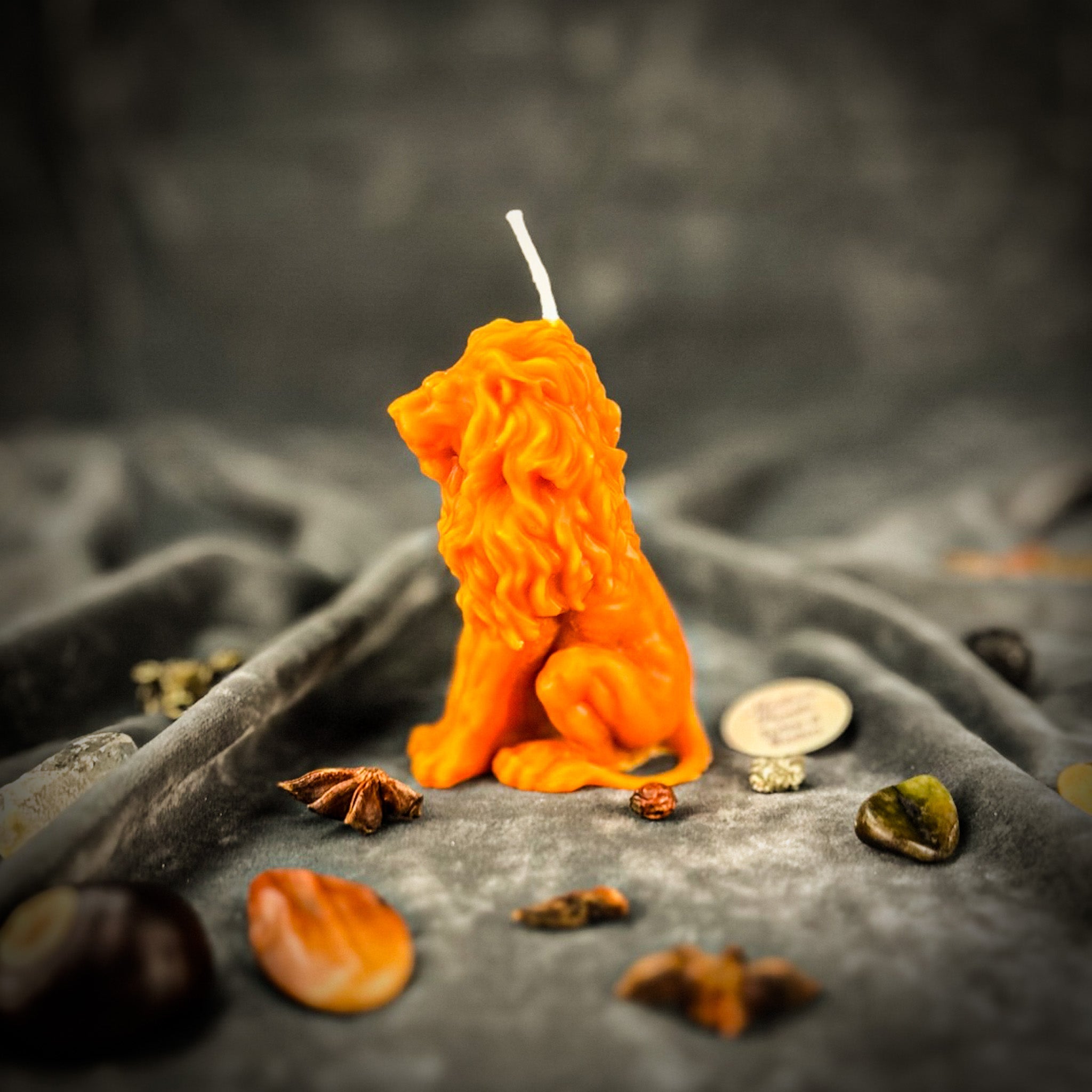 Proud Lion Candle Spell Kit - Courage & Leadership Magic | Candle Spell Kit | Wiccan Center