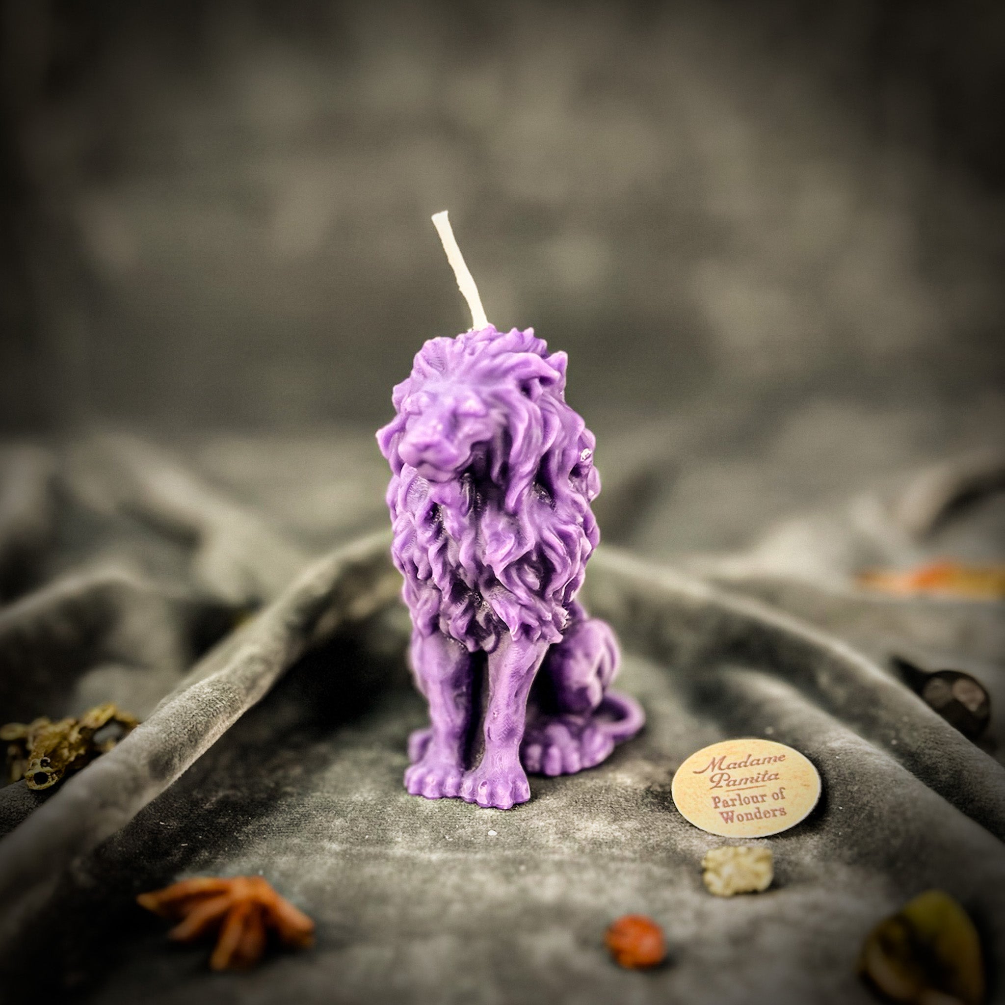 Proud Lion Candle Spell Kit - Courage & Leadership Magic | Candle Spell Kit | Wiccan Center