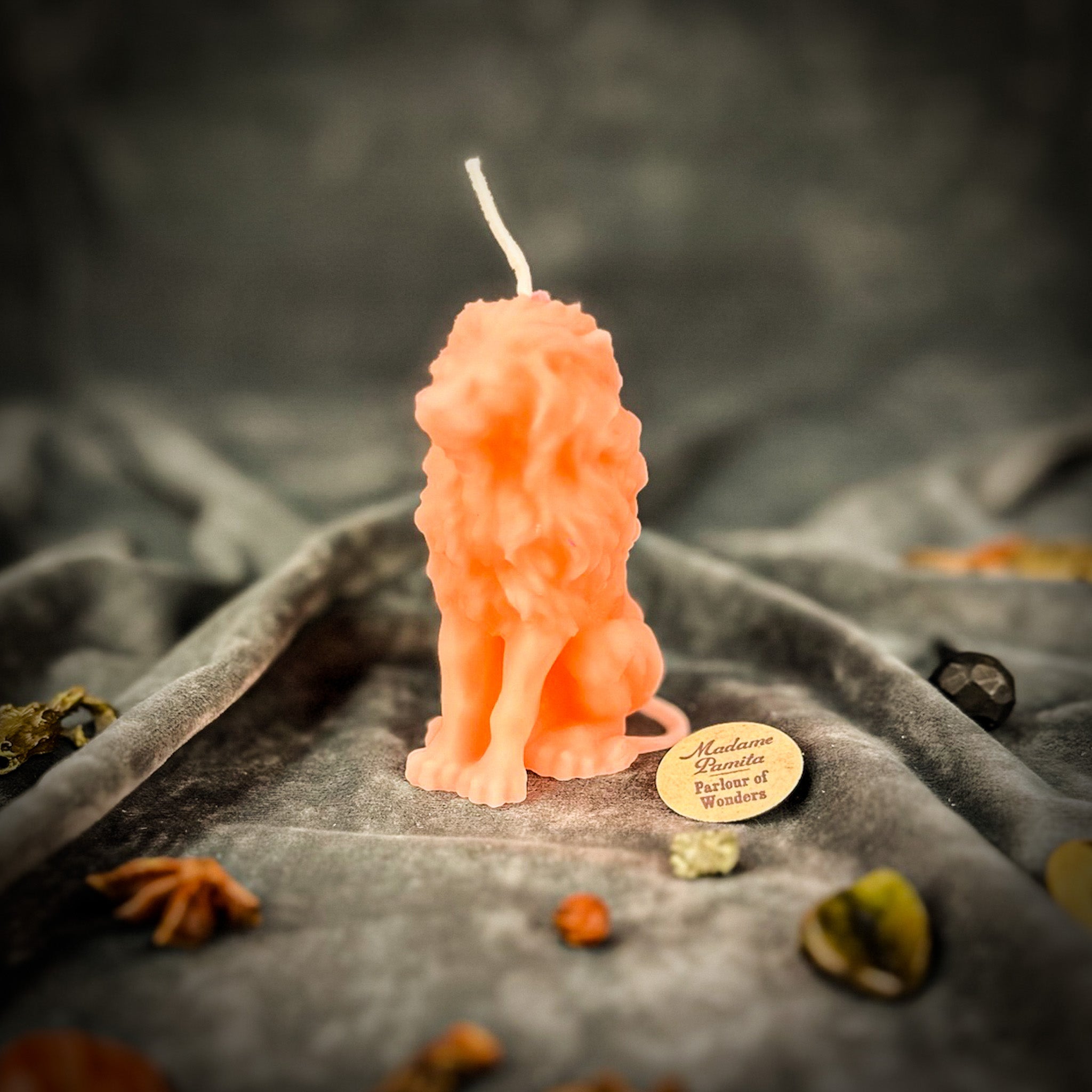 Proud Lion Candle Spell Kit - Courage & Leadership Magic | Candle Spell Kit | Wiccan Center