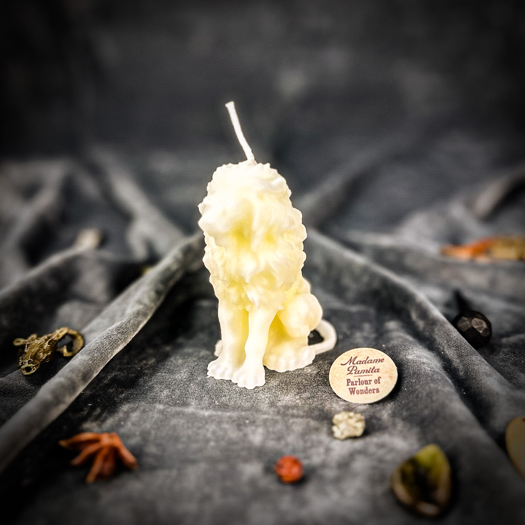 Proud Lion Candle Spell Kit - Courage & Leadership Magic | Candle Spell Kit | Wiccan Center
