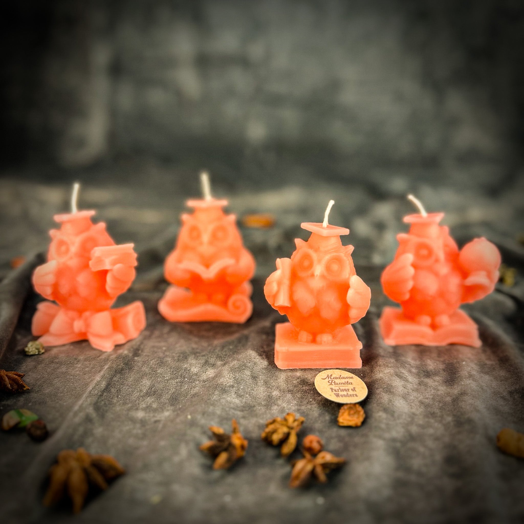 School of Owls Candle Spell Kit - Academic Success & Wisdom | Candle Spell Kit | Wiccan Center