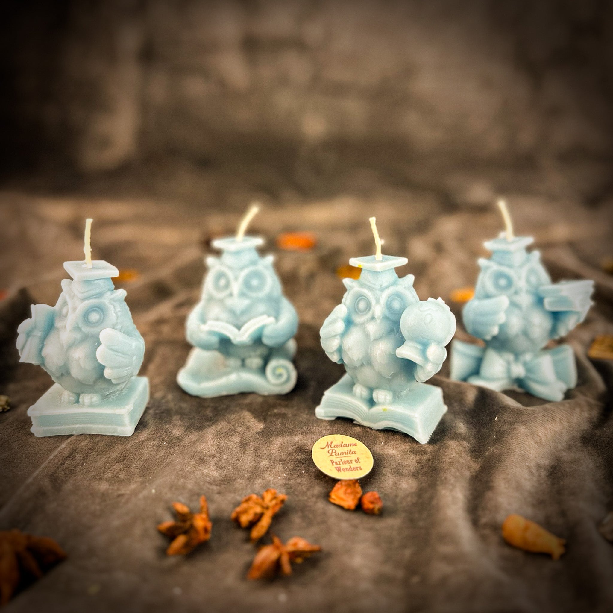 School of Owls Candle Spell Kit - Academic Success & Wisdom | Candle Spell Kit | Wiccan Center