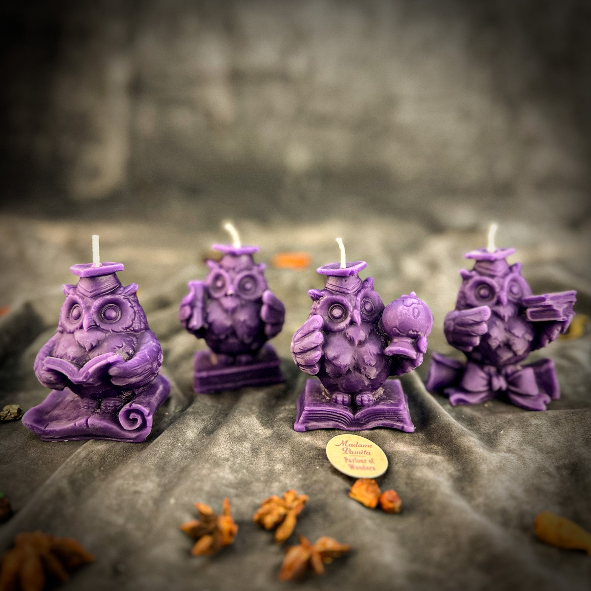 School of Owls Candle Spell Kit - Academic Success & Wisdom | Candle Spell Kit | Wiccan Center