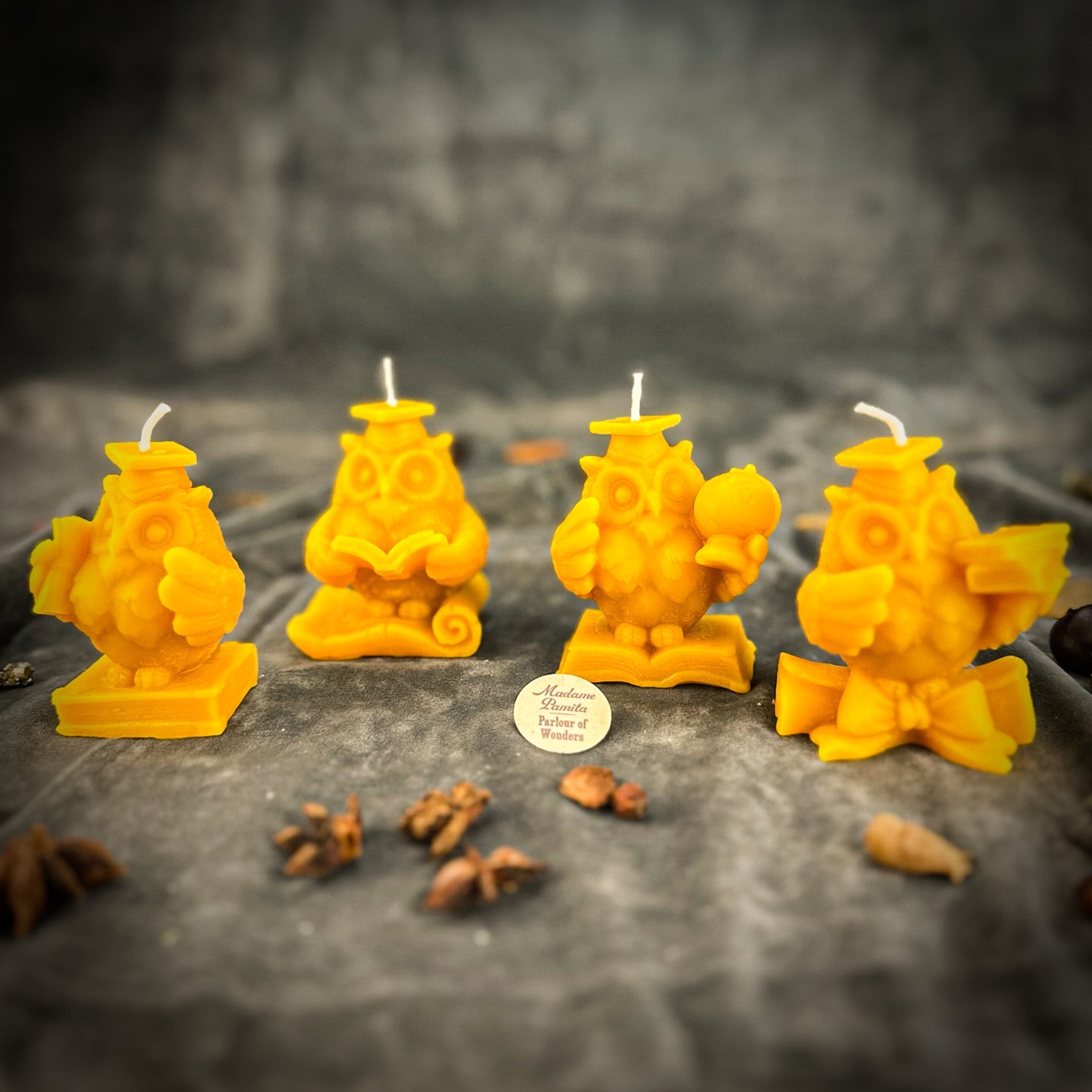 School of Owls Candle Spell Kit - Academic Success & Wisdom | Candle Spell Kit | Wiccan Center