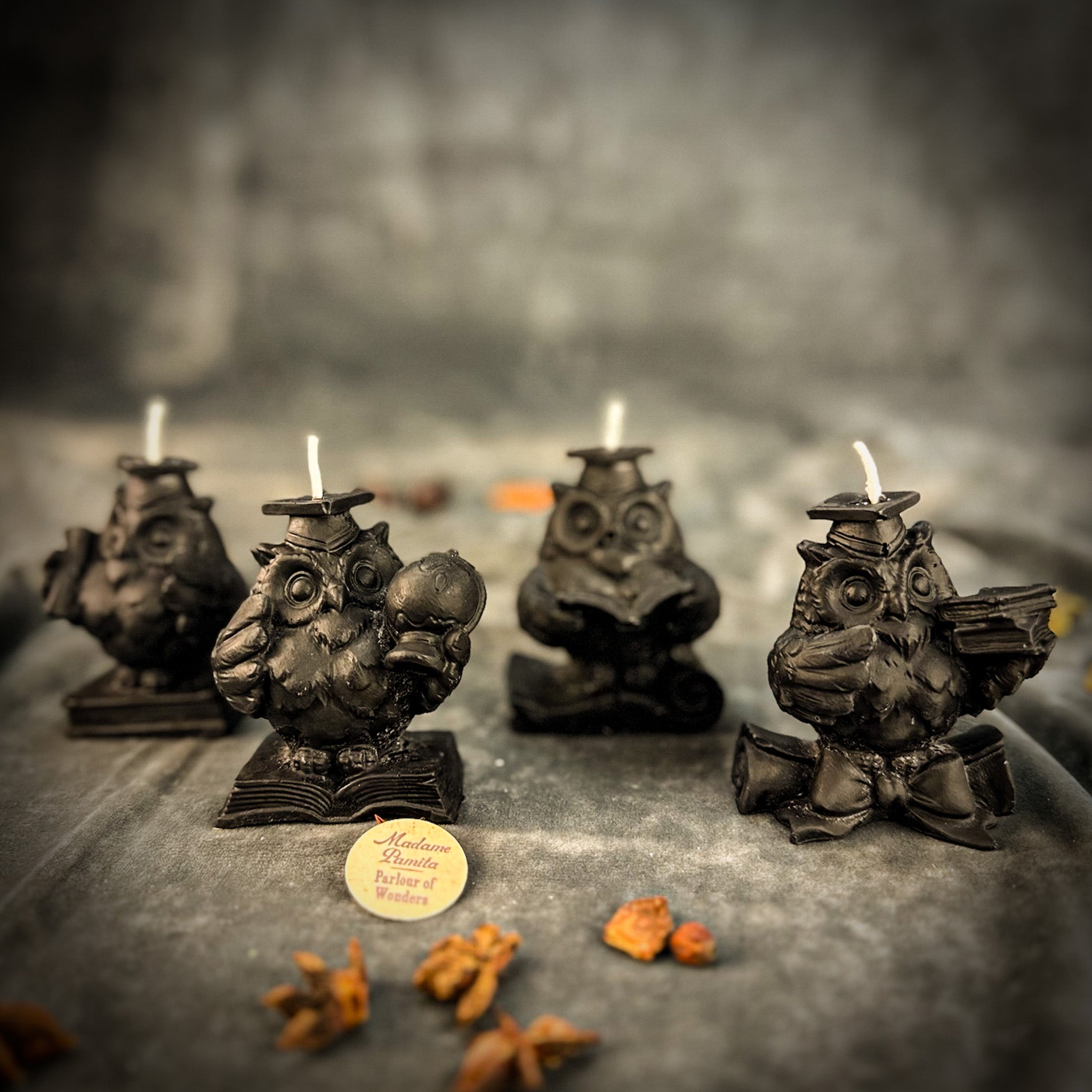 School of Owls Candle Spell Kit - Academic Success & Wisdom | Candle Spell Kit | Wiccan Center