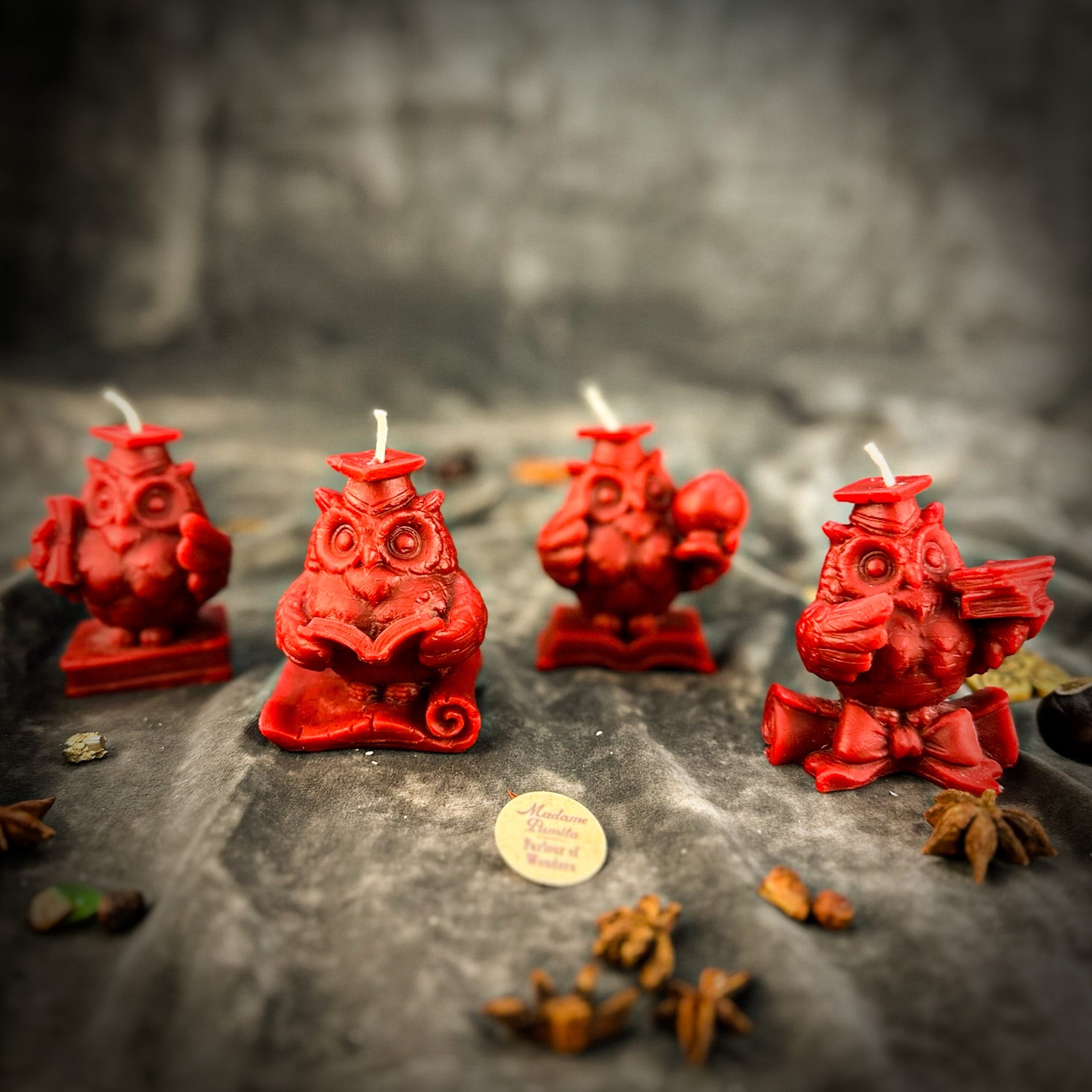 School of Owls Candle Spell Kit - Academic Success & Wisdom | Candle Spell Kit | Wiccan Center