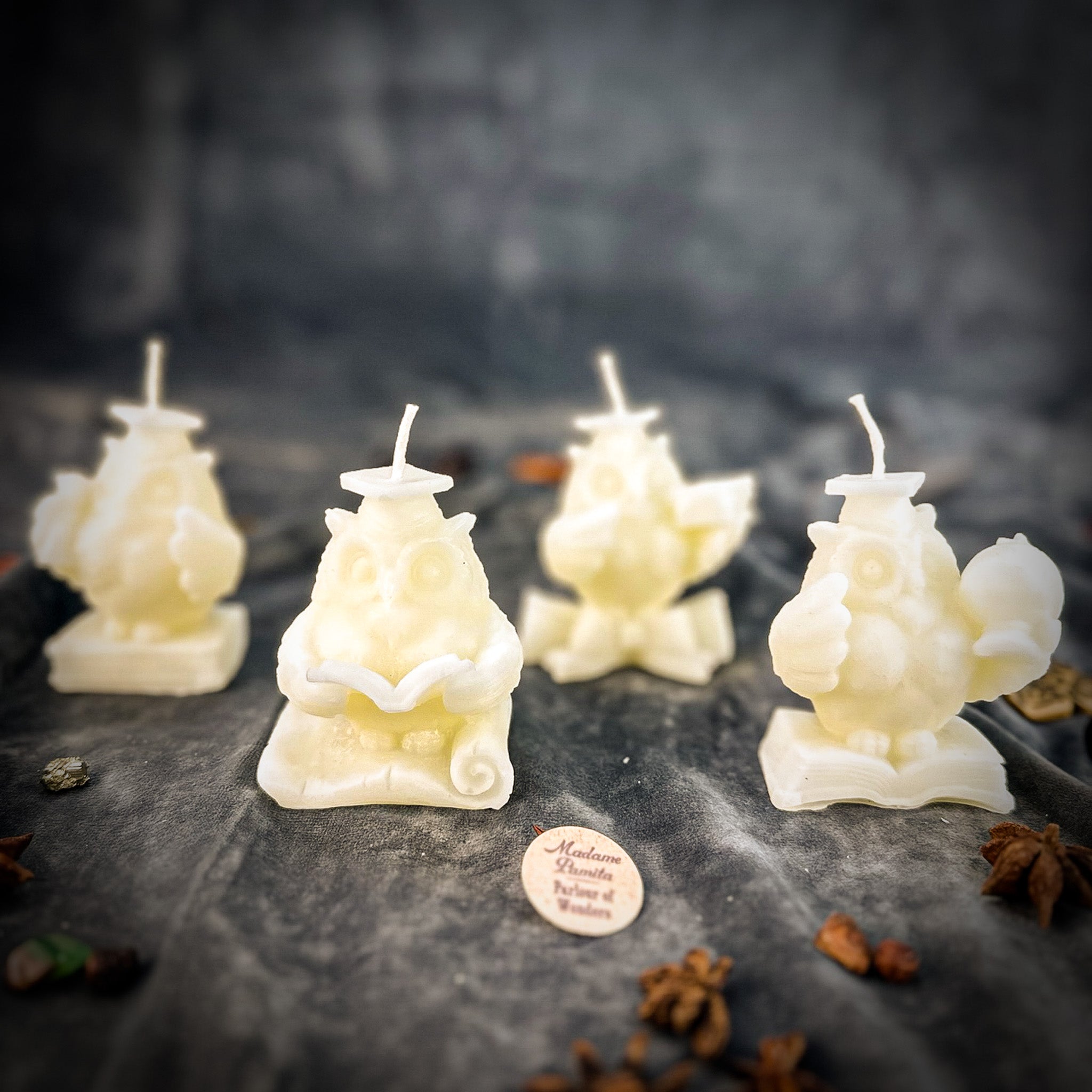 School of Owls Candle Spell Kit - Academic Success & Wisdom | Candle Spell Kit | Wiccan Center