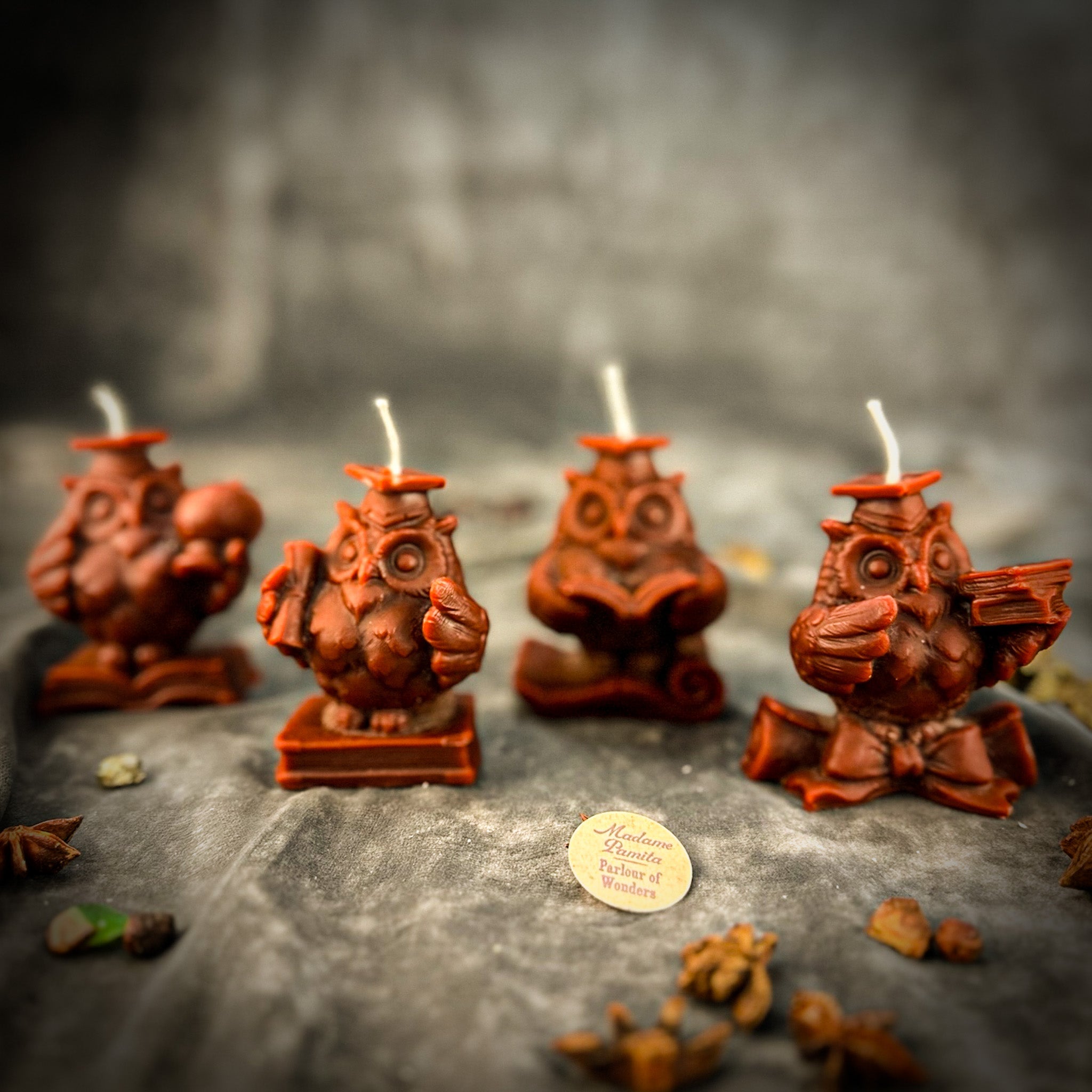 School of Owls Candle Spell Kit - Academic Success & Wisdom | Candle Spell Kit | Wiccan Center
