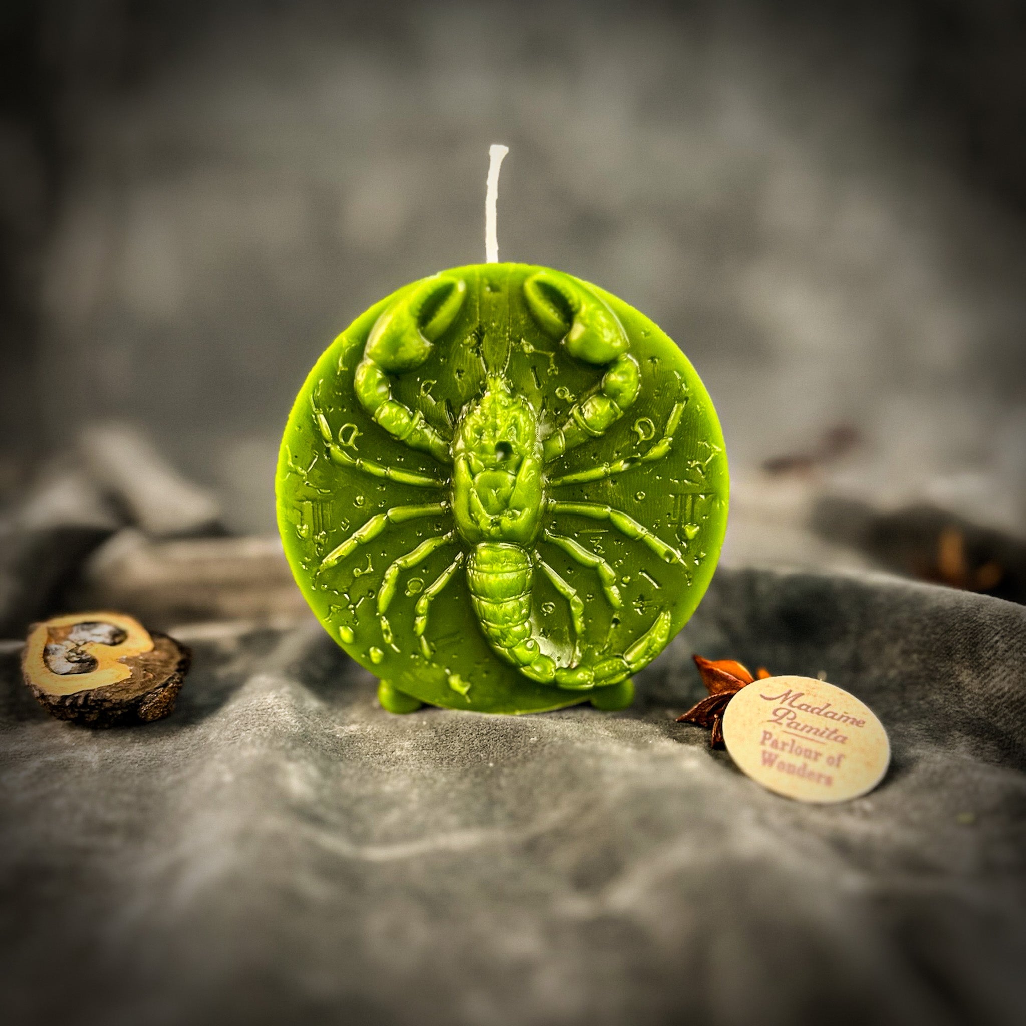 Beeswax Scorpio Scorpion Zodiac Spell Candle - Transformation, Power & Intuition | Beeswax Candle | Wiccan Center