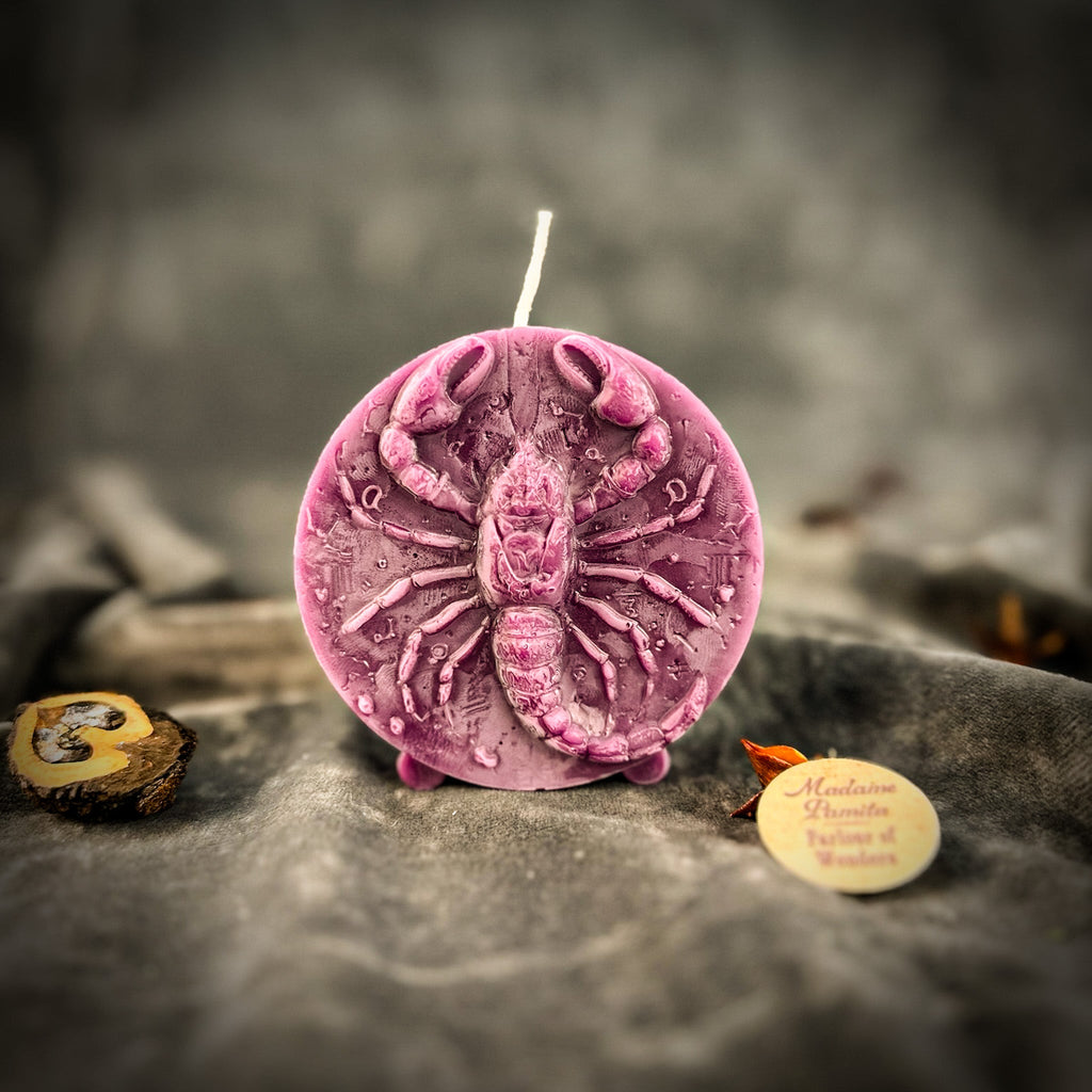 Beeswax Scorpio Scorpion Zodiac Spell Candle - Transformation, Power & Intuition | Beeswax Candle | Wiccan Center