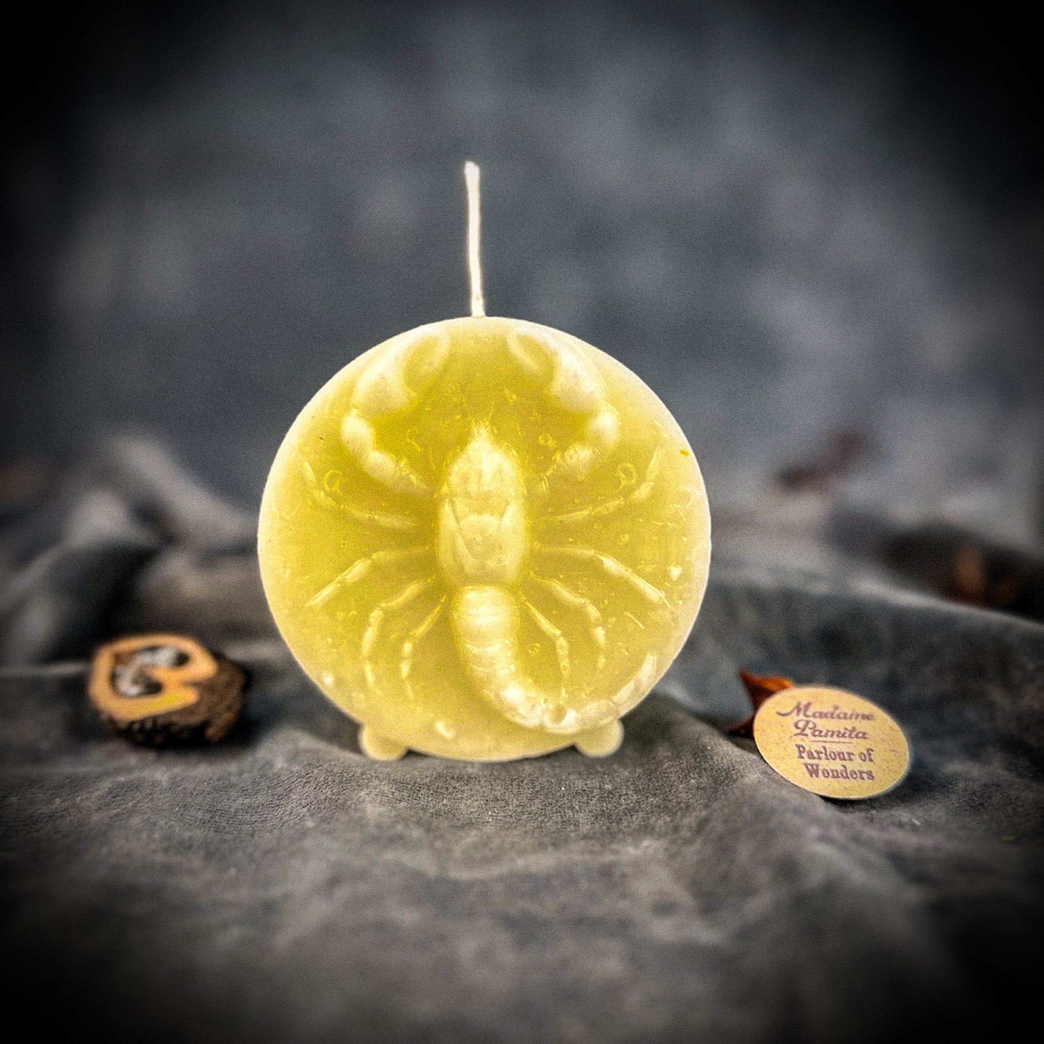 Beeswax Scorpio Scorpion Zodiac Spell Candle - Transformation, Power & Intuition | Beeswax Candle | Wiccan Center