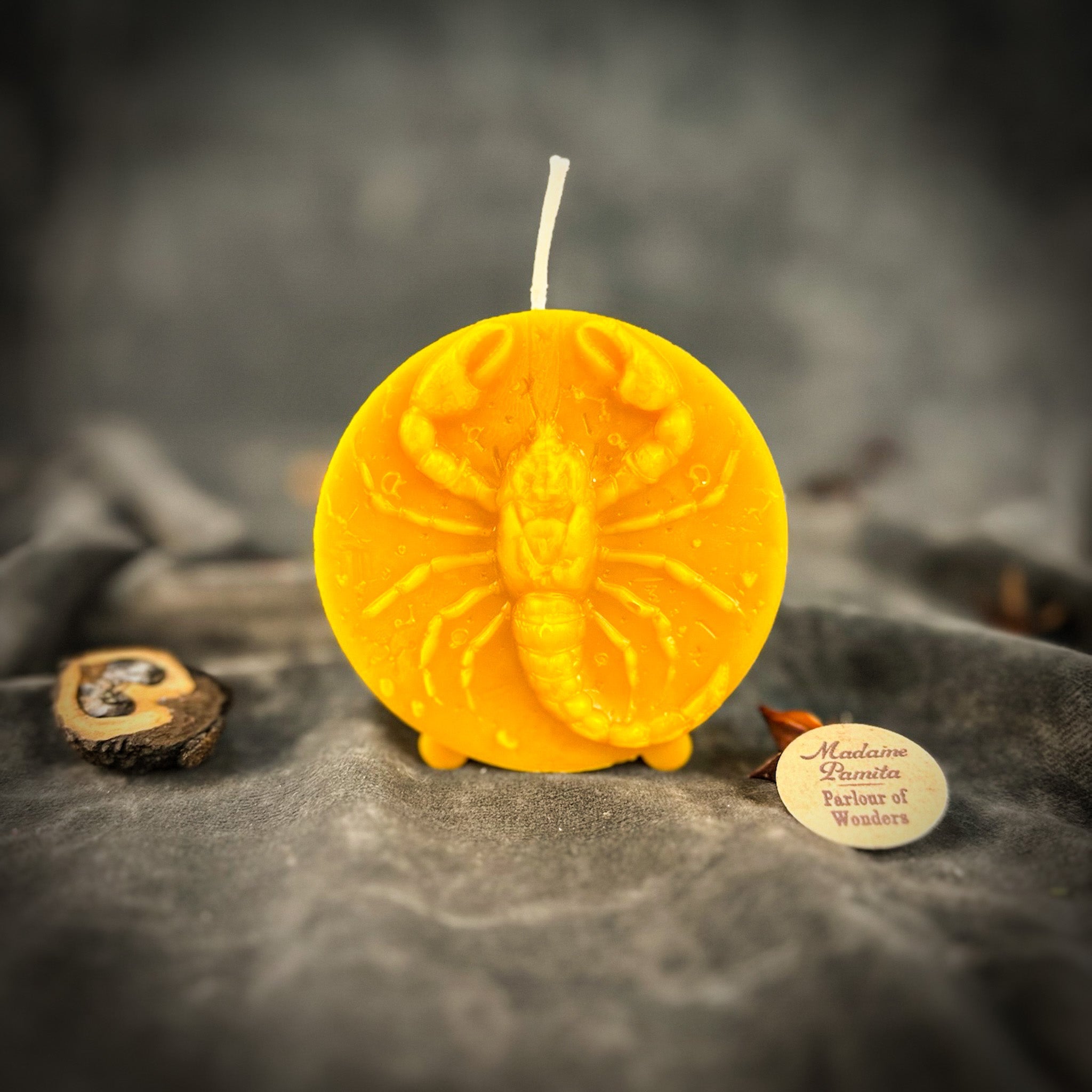 Beeswax Scorpio Scorpion Zodiac Spell Candle - Transformation, Power & Intuition | Beeswax Candle | Wiccan Center