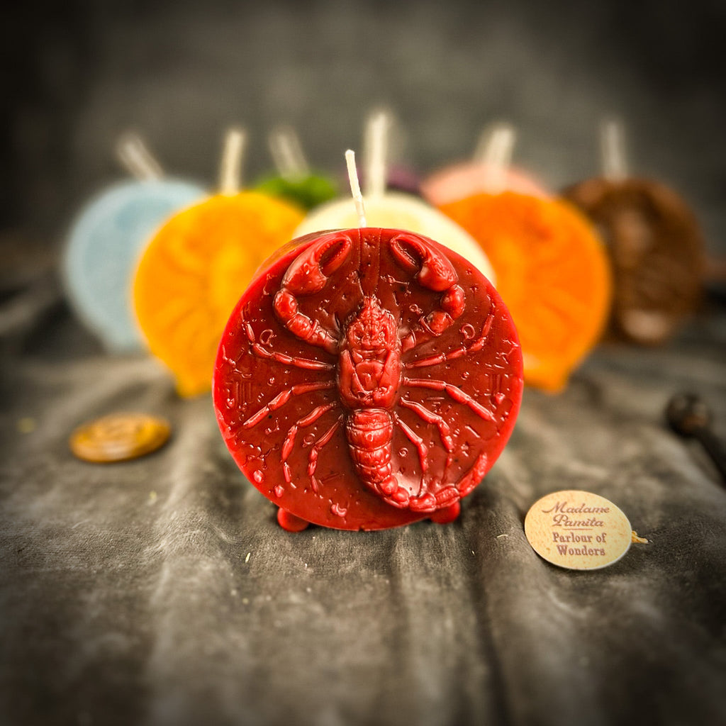 Beeswax Scorpio Scorpion Zodiac Spell Candle - Transformation, Power & Intuition | Beeswax Candle | Wiccan Center