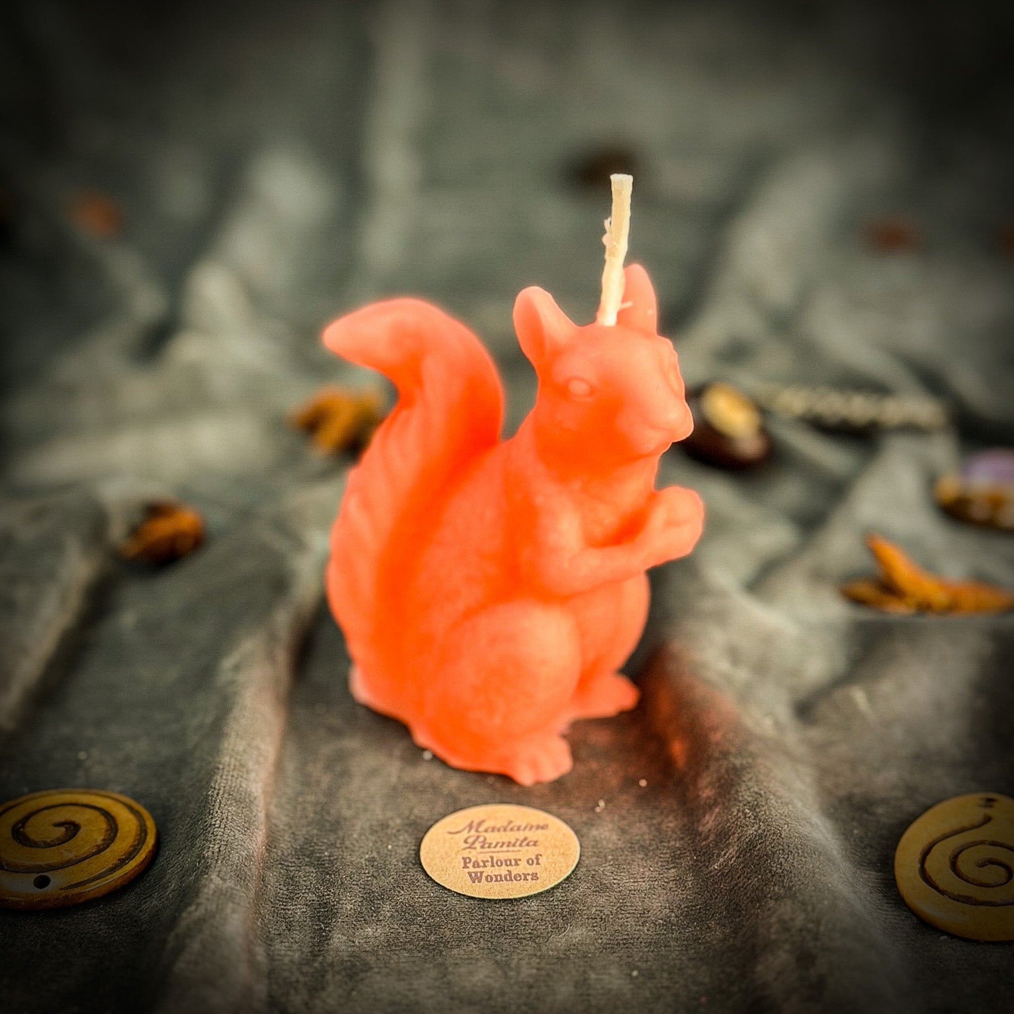 Squirrel of Abundance Candle Spell Kit - Prosperity & Wise Investments Magic | Candle Spell Kit | Wiccan Center
