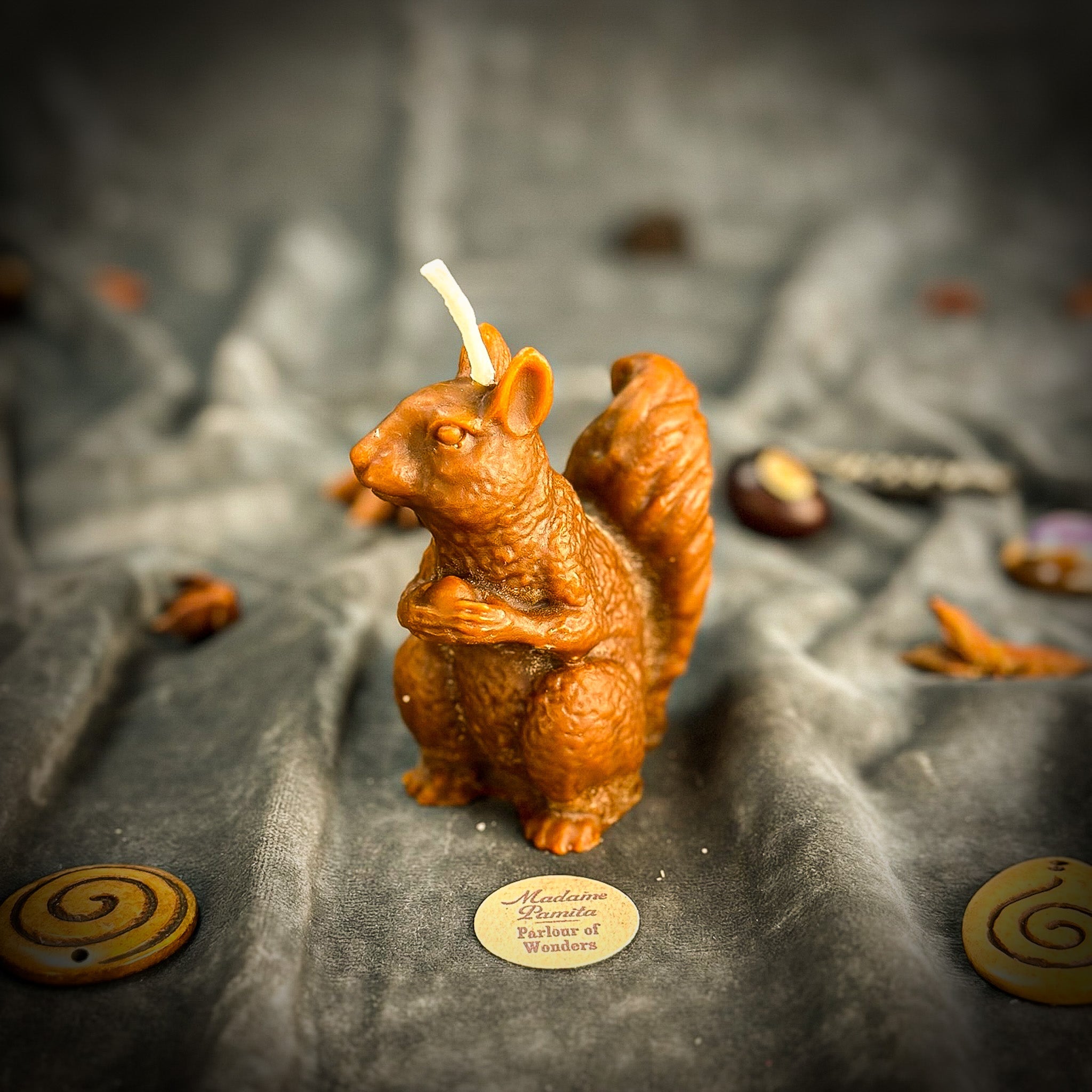 Squirrel of Abundance Candle Spell Kit - Prosperity & Wise Investments Magic | Candle Spell Kit | Wiccan Center