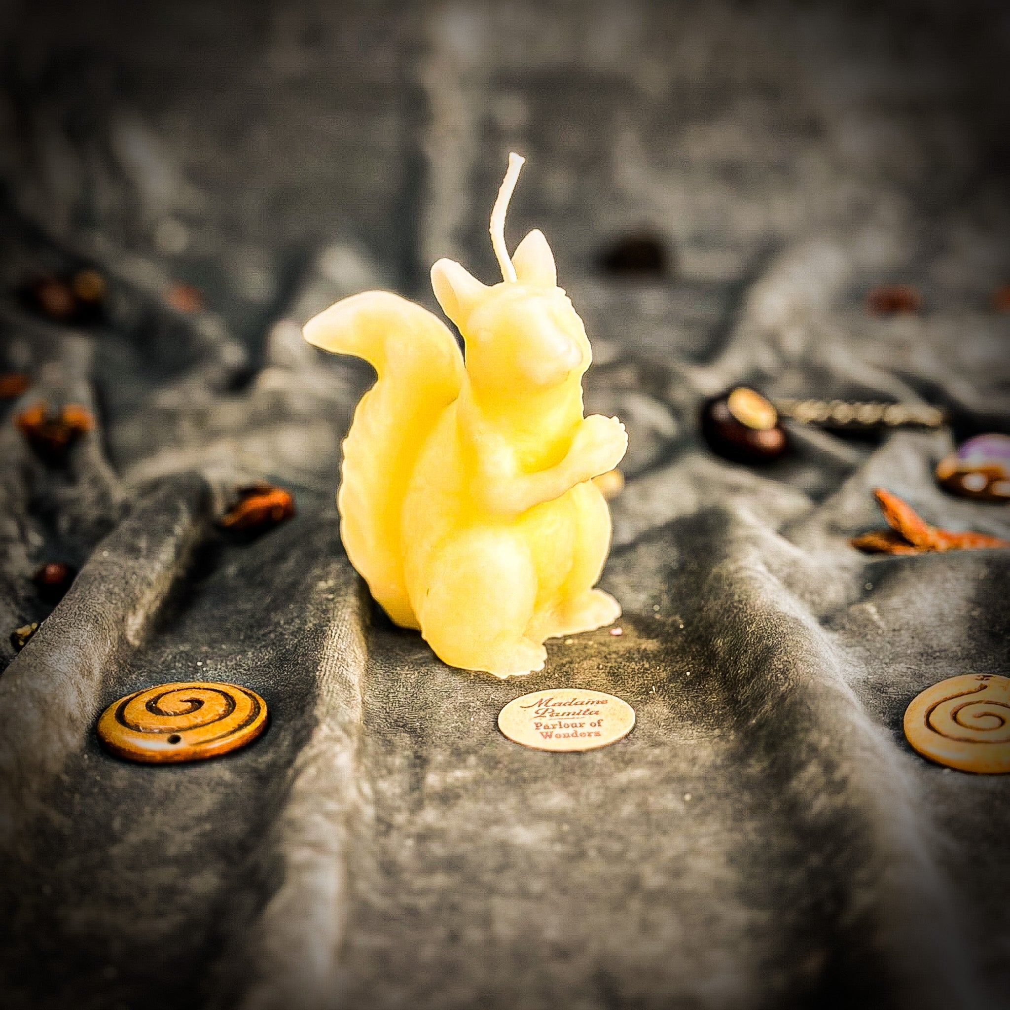 Squirrel of Abundance Candle Spell Kit - Prosperity & Wise Investments Magic | Candle Spell Kit | Wiccan Center