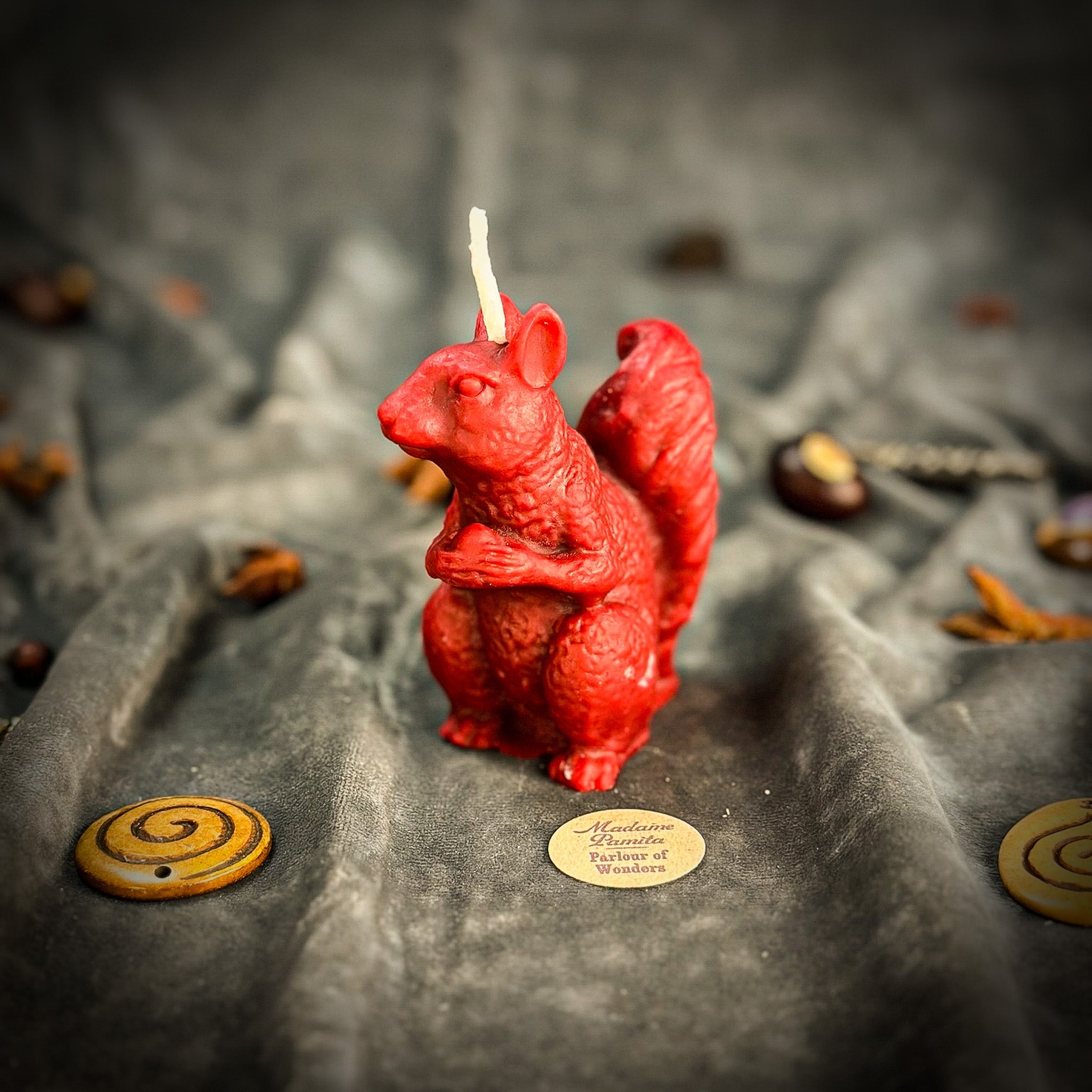 Squirrel of Abundance Candle Spell Kit - Prosperity & Wise Investments Magic | Candle Spell Kit | Wiccan Center