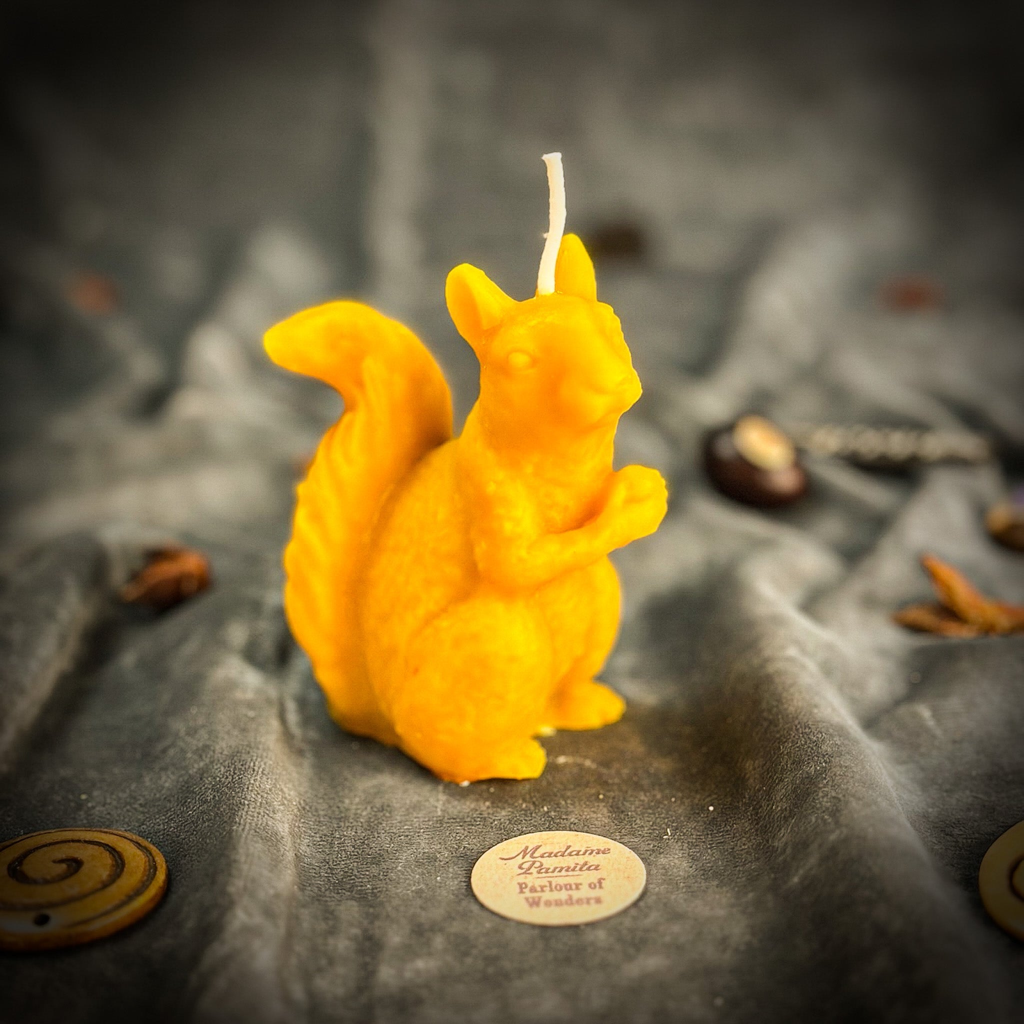 Squirrel of Abundance Candle Spell Kit - Prosperity & Wise Investments Magic | Candle Spell Kit | Wiccan Center