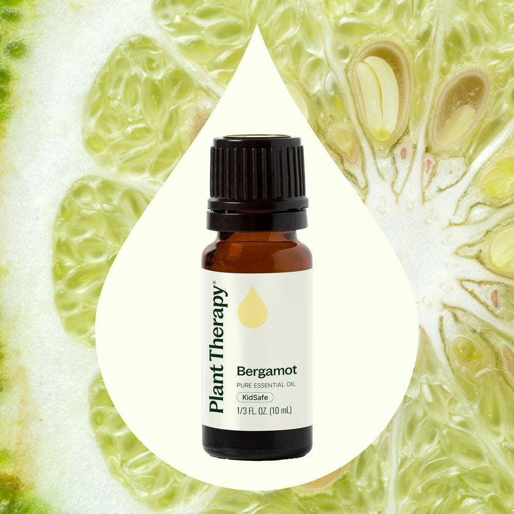 Plant Therapy Bergamot Essential Oil 10 Ml