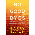 No Goodbyes: No Goodbyes: Life-Changing Insights from the Other Side - Paperback | Books | Wiccan Center