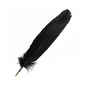 Black Feather 12" | Feathers | Wiccan Center