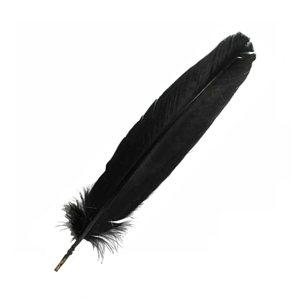 Black Feather 12" | Feathers | Wiccan Center