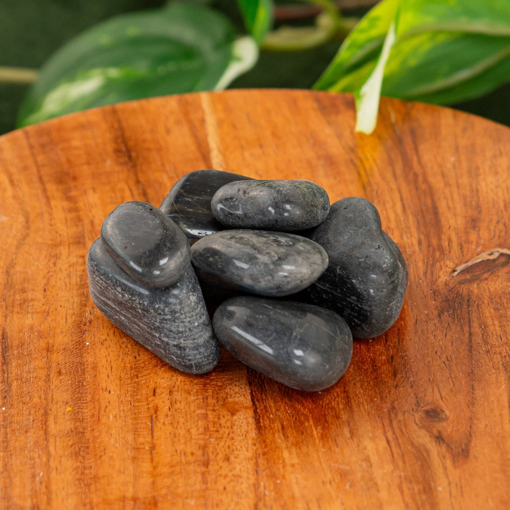 Black Tourmaline Tumbled 1lb | Rocks & Fossils | Wiccan Center