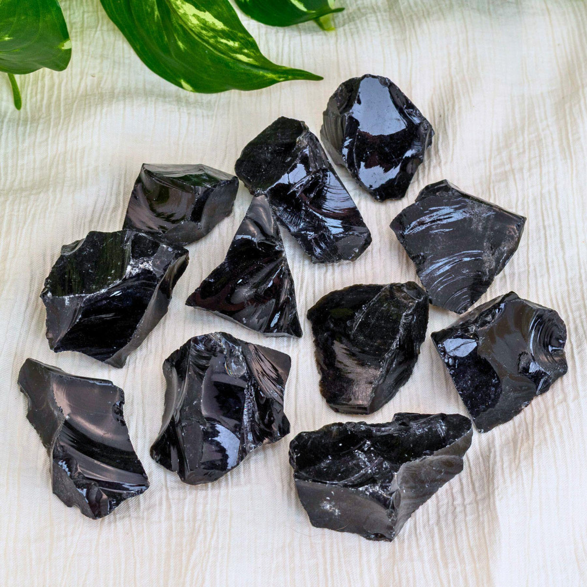 Black Obsidian Raw 1lb