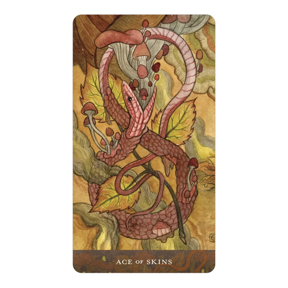 Blood Moon Tarot | Tarot Cards | Wiccan Center
