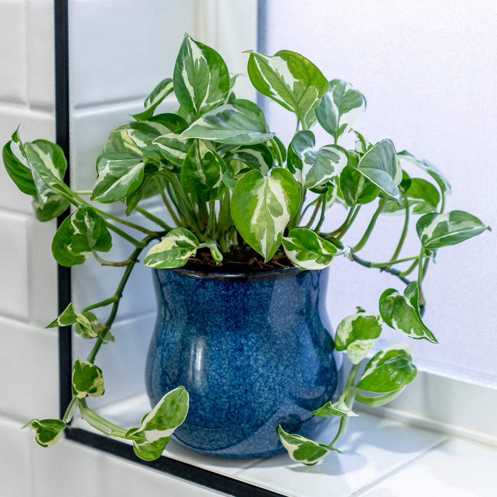 Ceramic Plant Pot with Rubber Liner - River Blue | Indoor Plant Pot | Wiccan Center