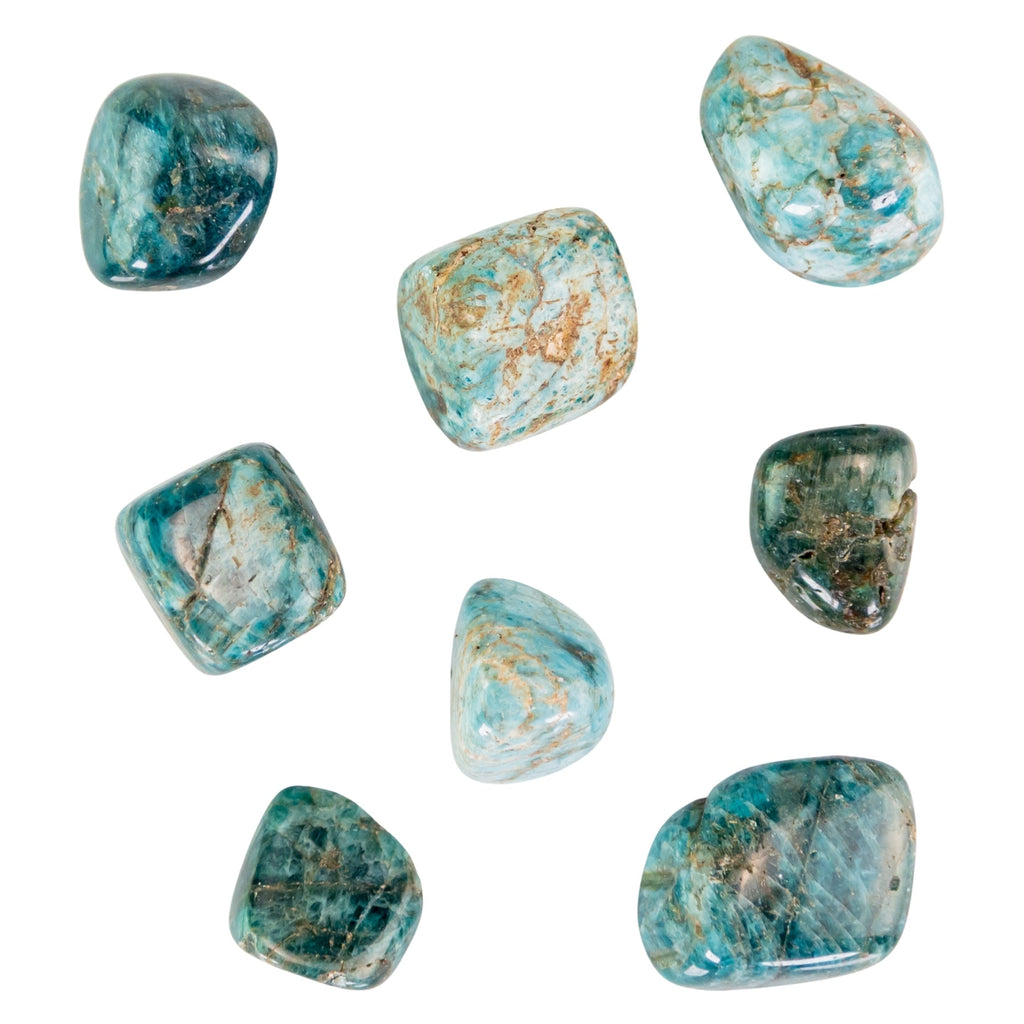 Blue Apatite Tumbled 1lb | Crystals | Wiccan Center