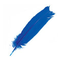 Blue Feather 12" | Feathers | Wiccan Center