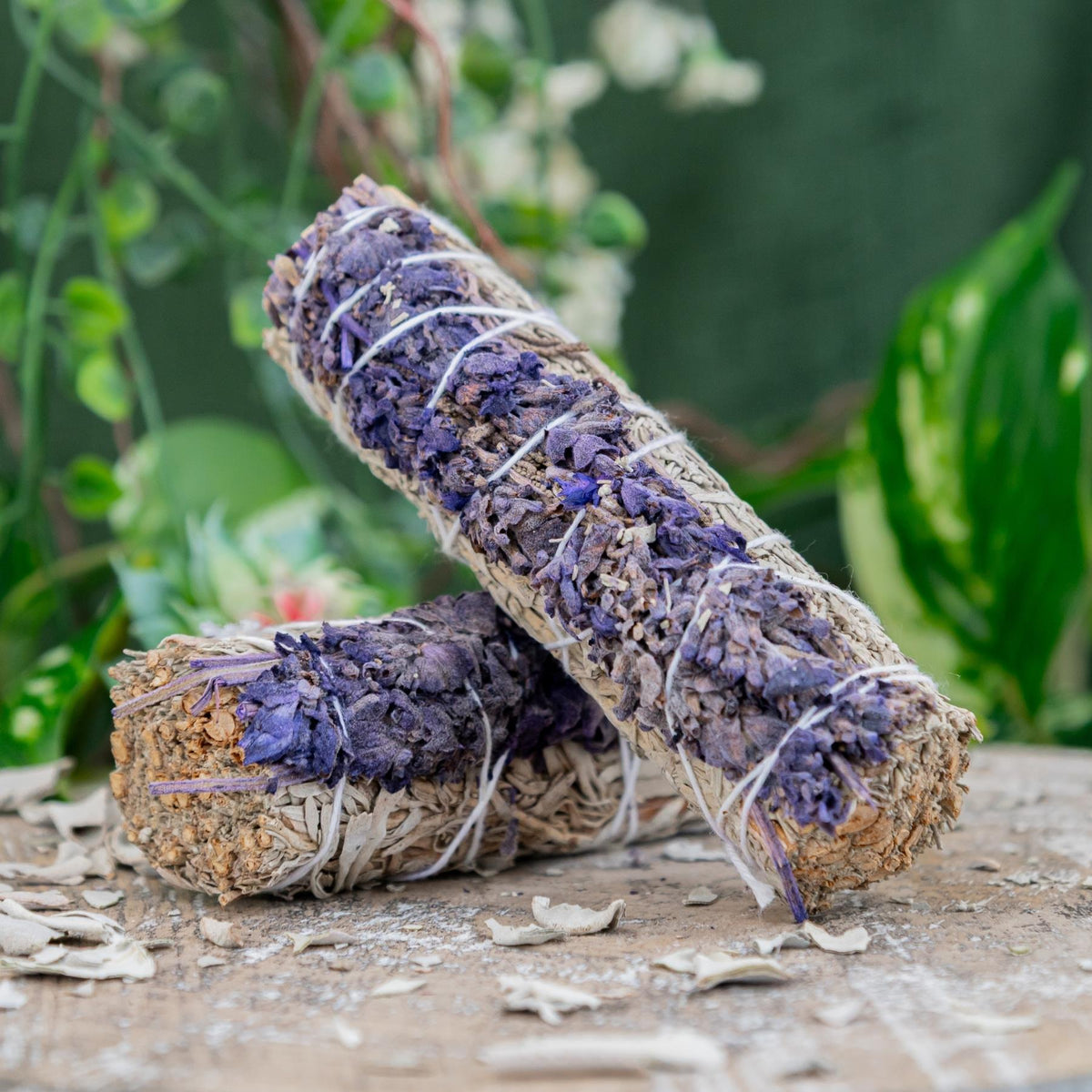 Blue Sage with Lavender Smudge Stick | | Wiccan Center