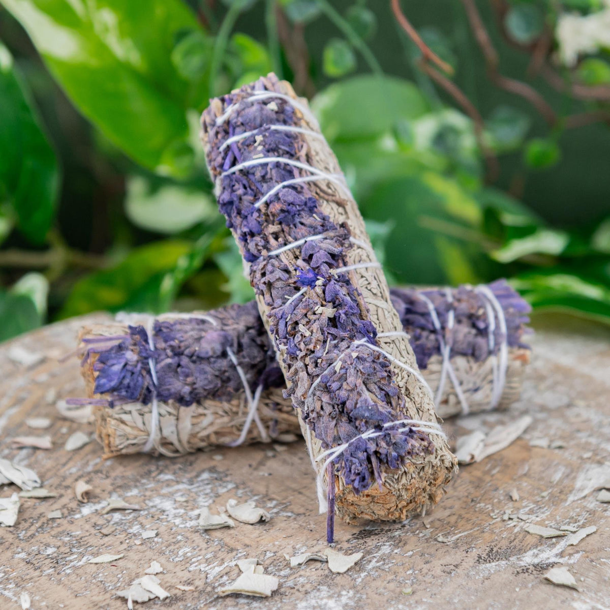 Blue Sage with Lavender Smudge Stick | | Wiccan Center