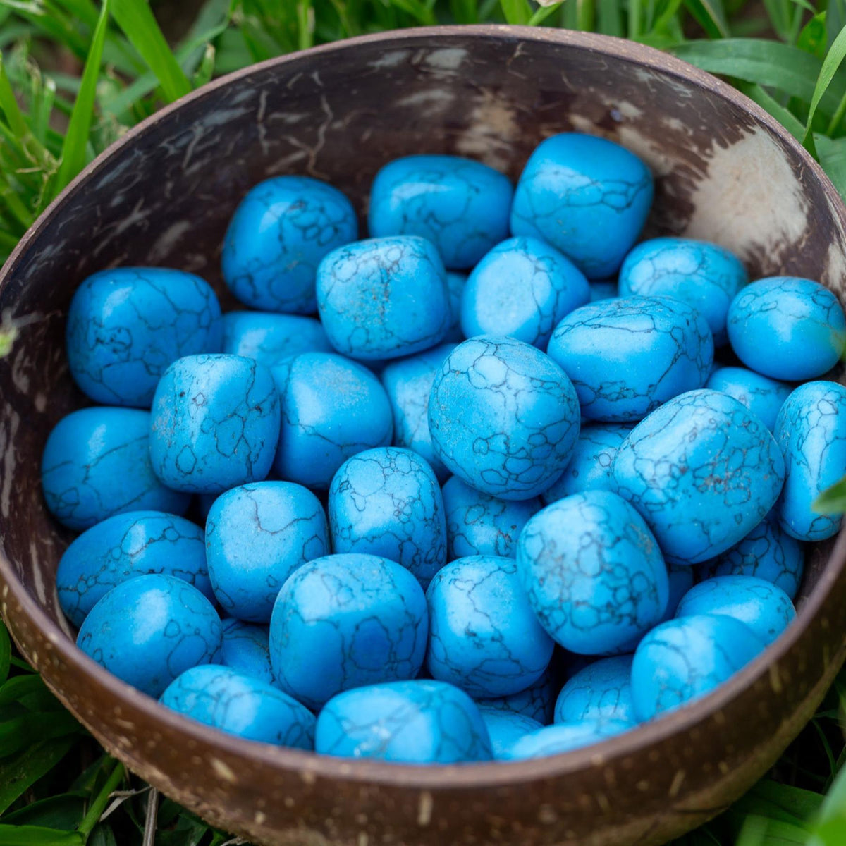 Blue Howlite Tumbled | | Wiccan Center