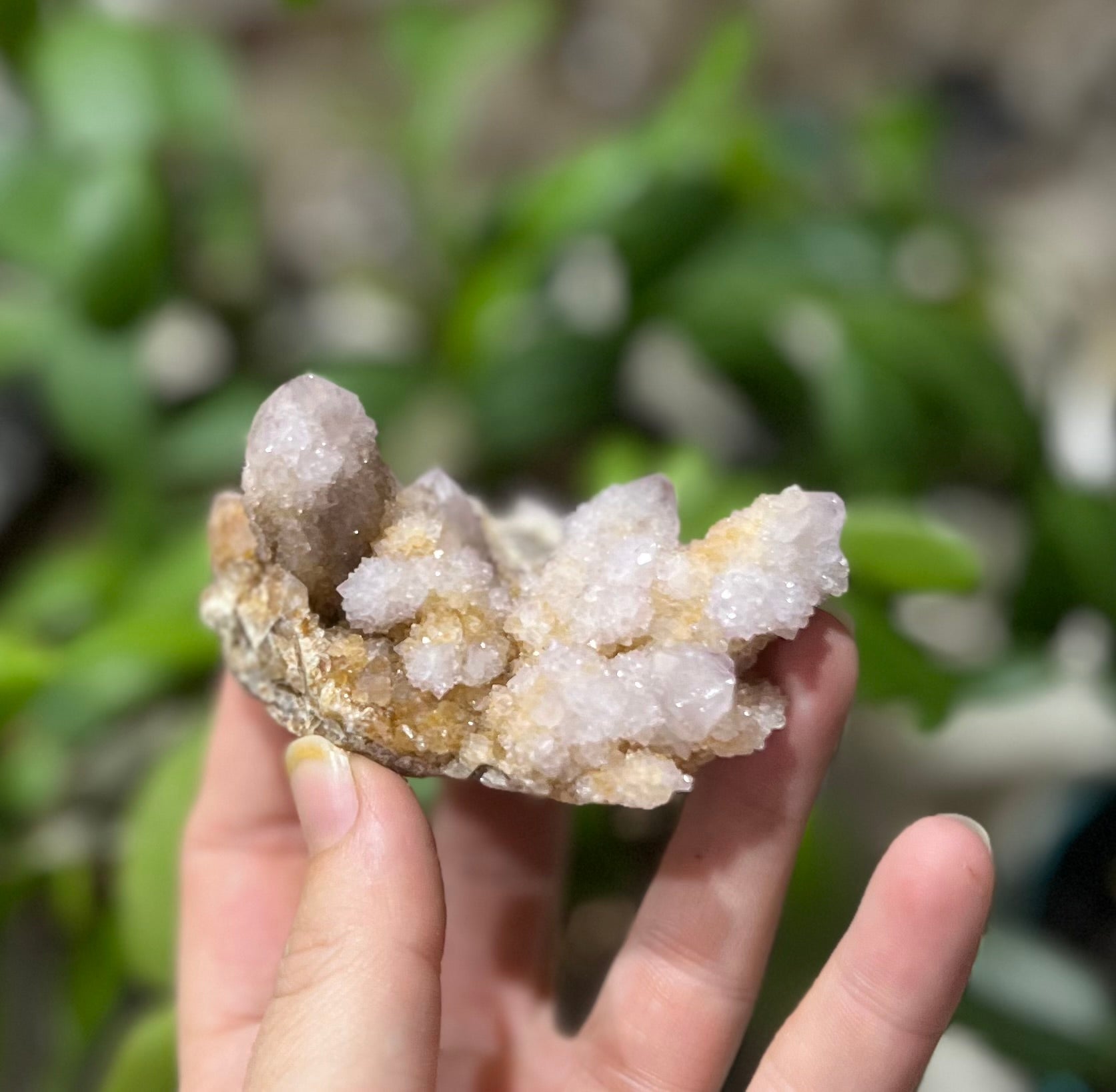 Spirit Quartz Points, Cactus Quartz Clusters, You Choose Size | | Wiccan Center