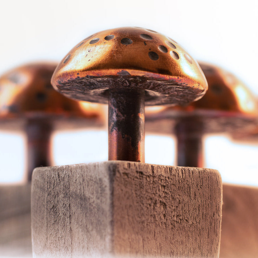 Copper Mushroom with Wood Stand | Paperweights | Wiccan Center