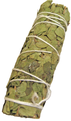 MIX - Baby Eucalyptus Smudge Sticks 4" (Single) | INCENSE AND CANDLES | Wiccan Center