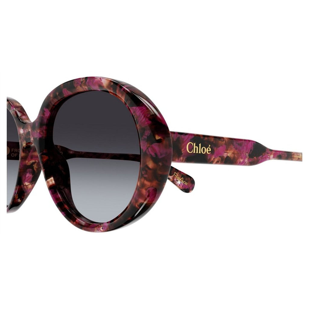 CHLOÉ Chic Women's Sunglasses - Mini Frame