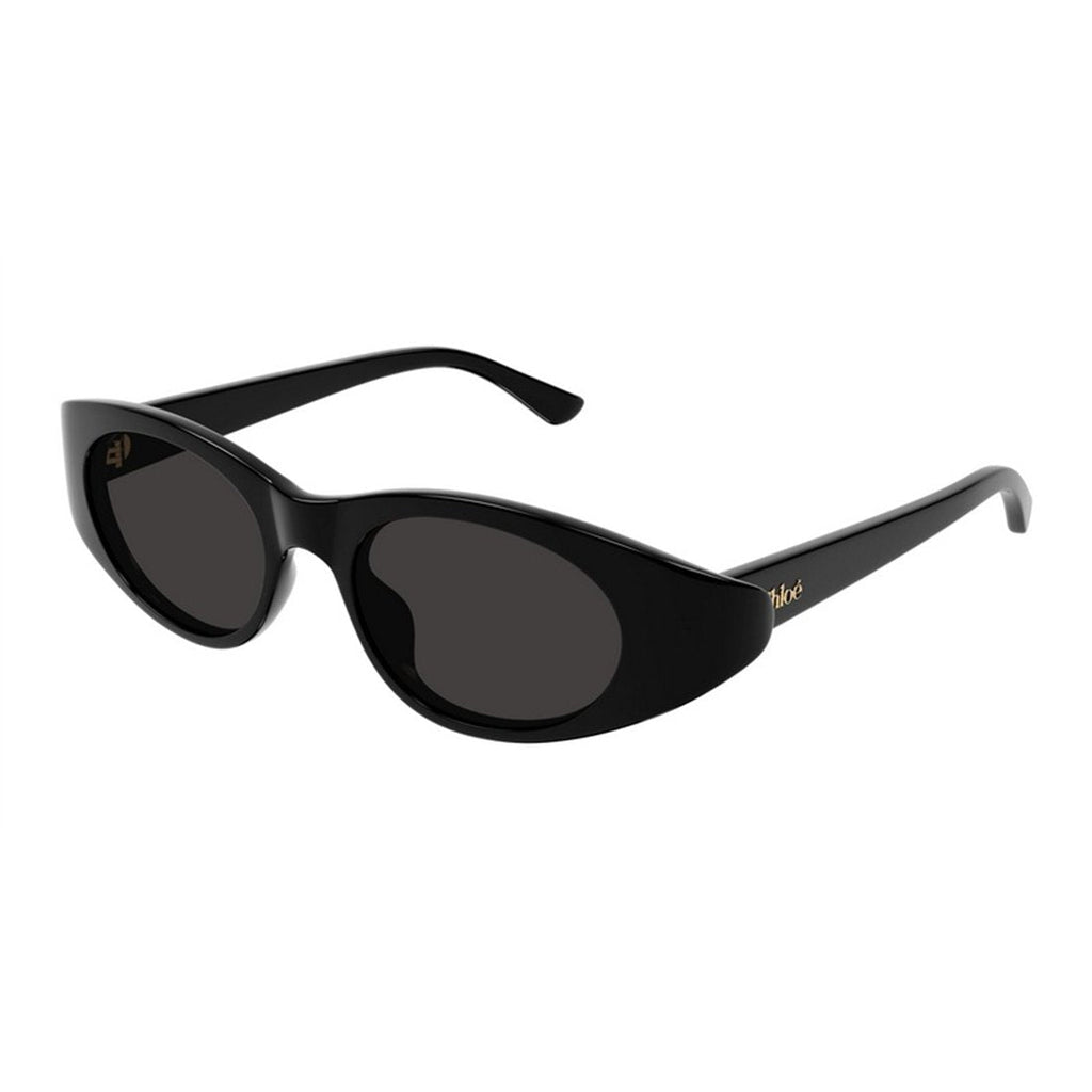 CHLOÉ Chic Women's Sunglasses