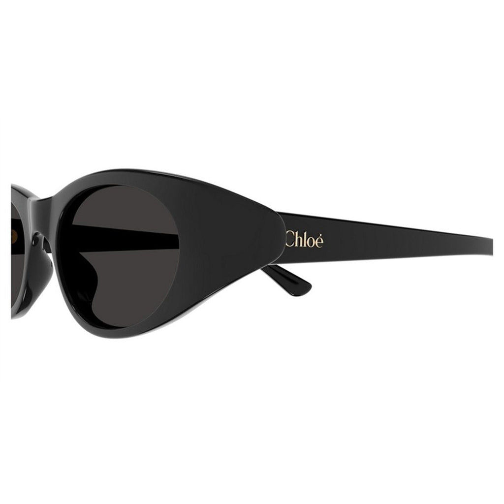CHLOÉ Chic Women's Sunglasses